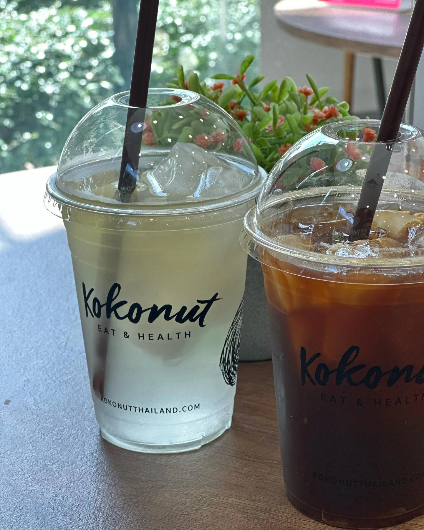 Choose your fighter: coconut americano for a pickmeup 👆 or a coconut CBD lemonade for a cooldown 👇
#findingNamHomcoconuts #coconutchronicles