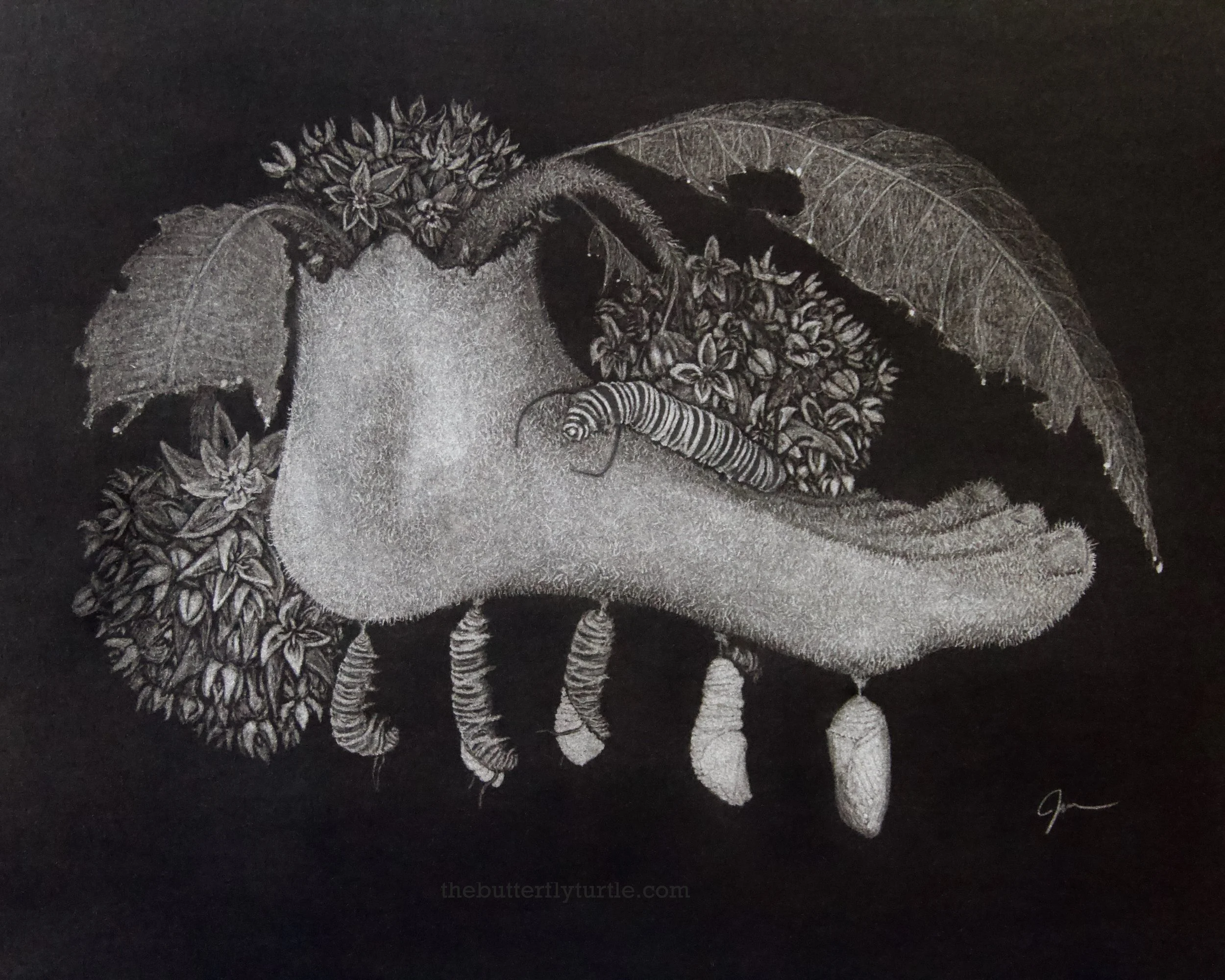 Size: 16x12in
Frame: 20x16in