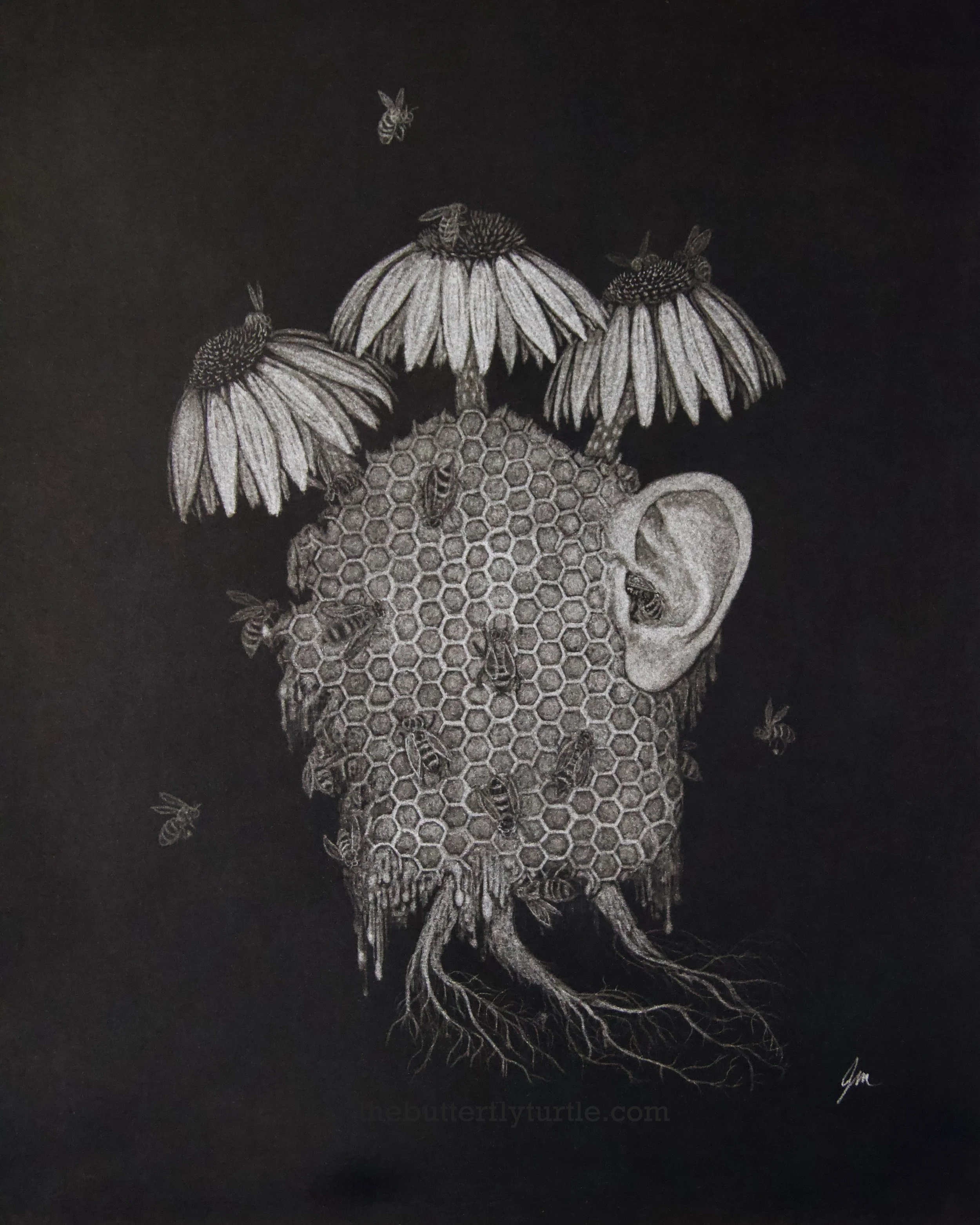 Size: 16x12in
Frame: 20x16in