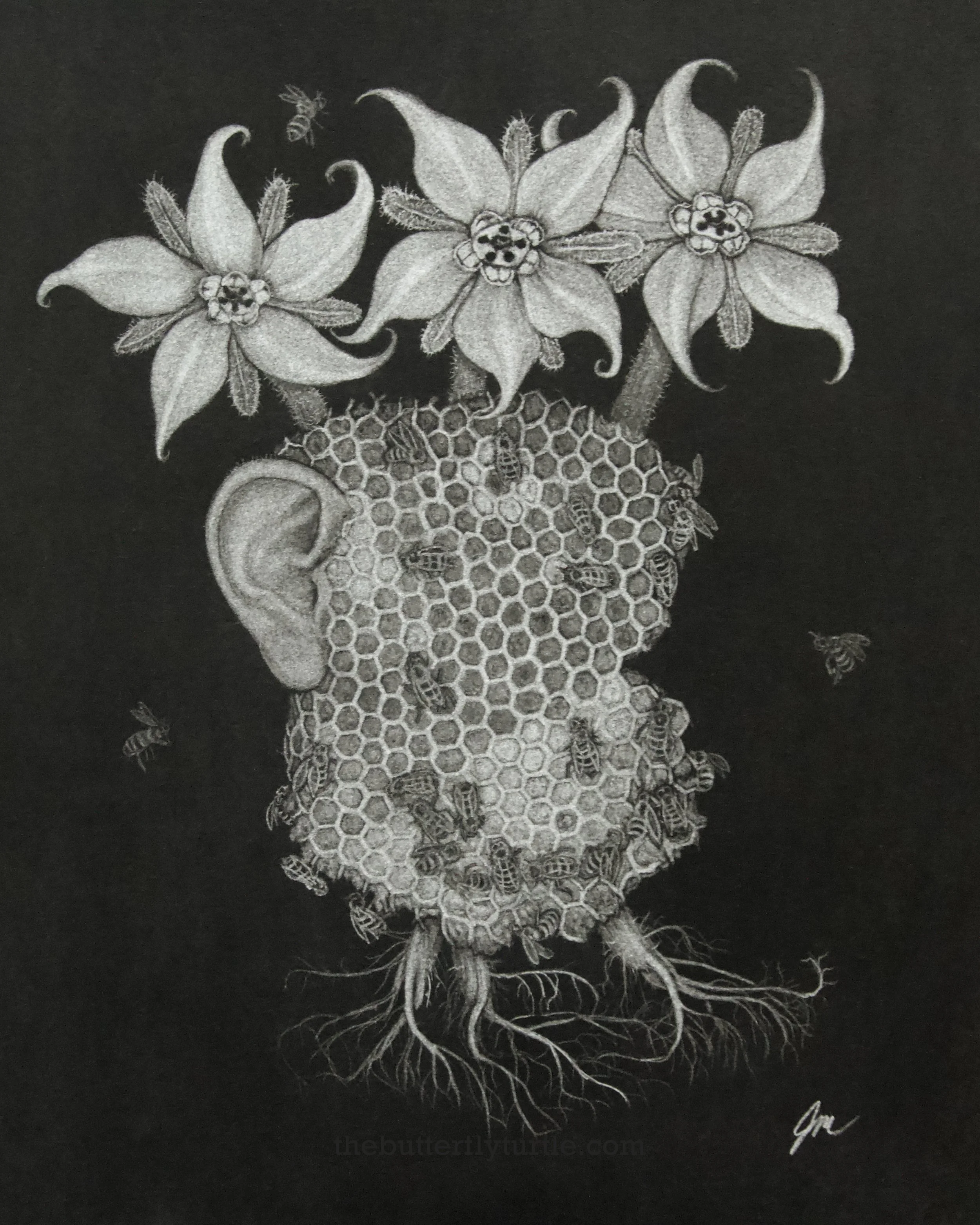 Size: 16x12in
Frame: 20x16in