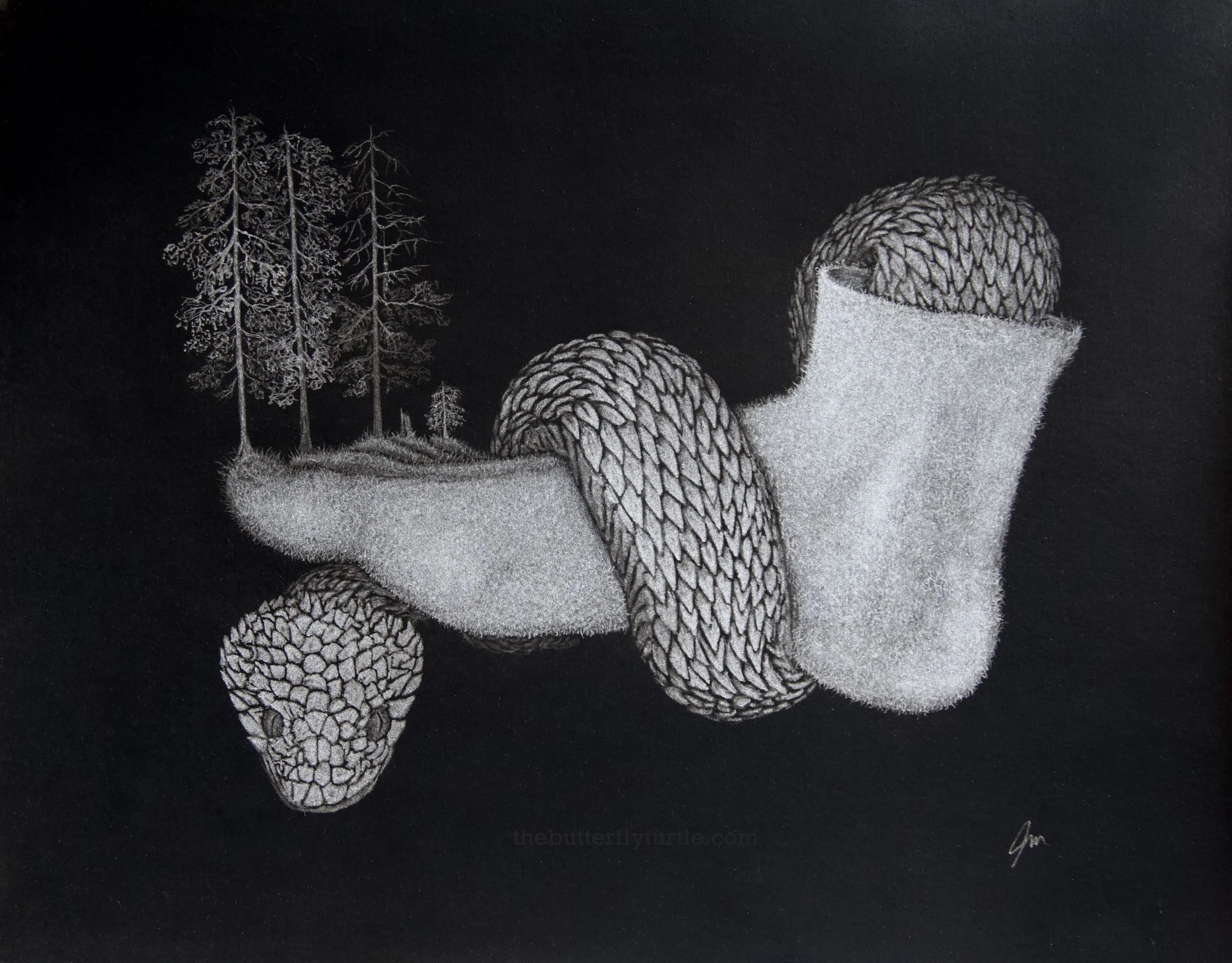 Size: 16x12in
Frame: 20x16in