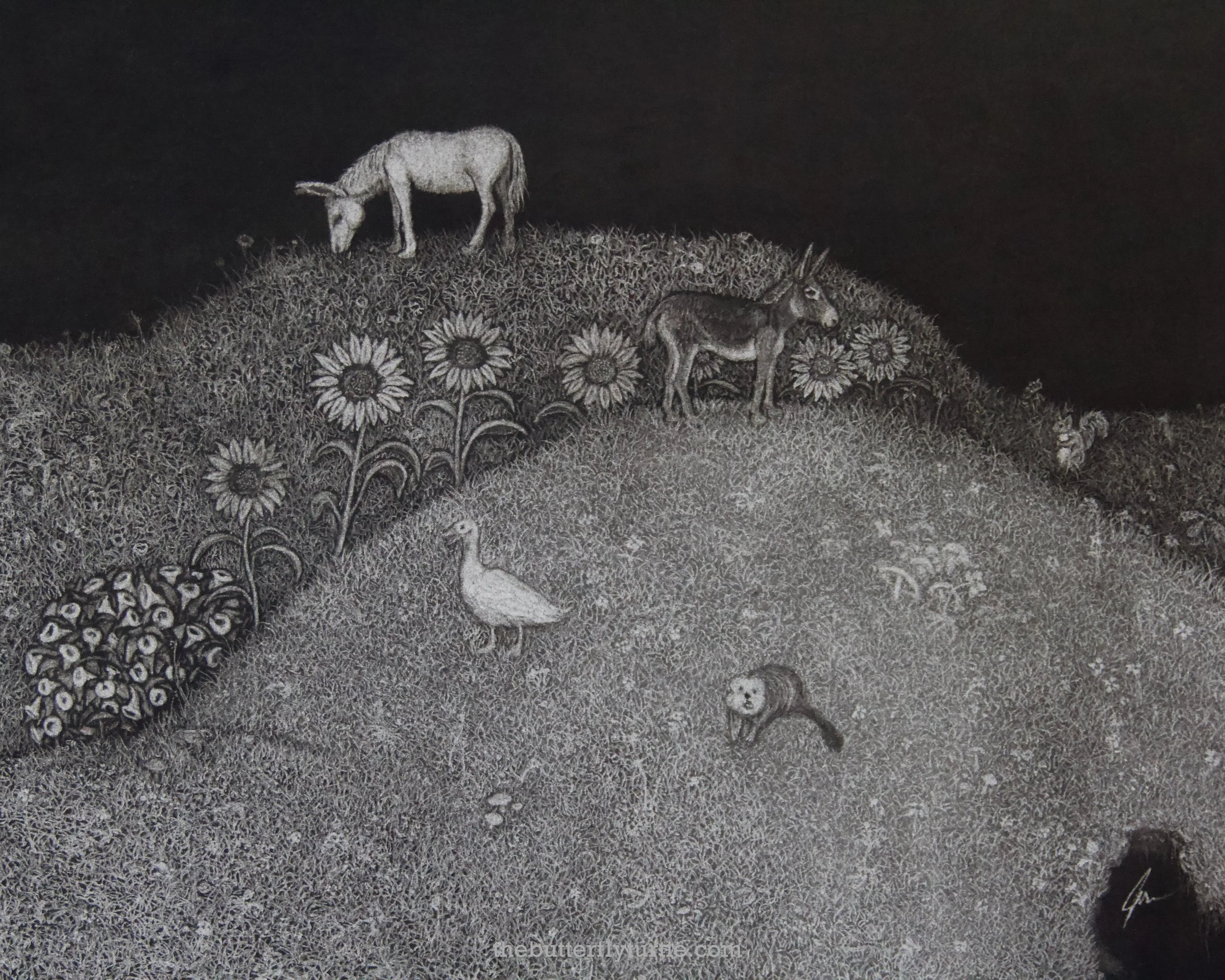 Size: 16x12in
Frame: 20x16in