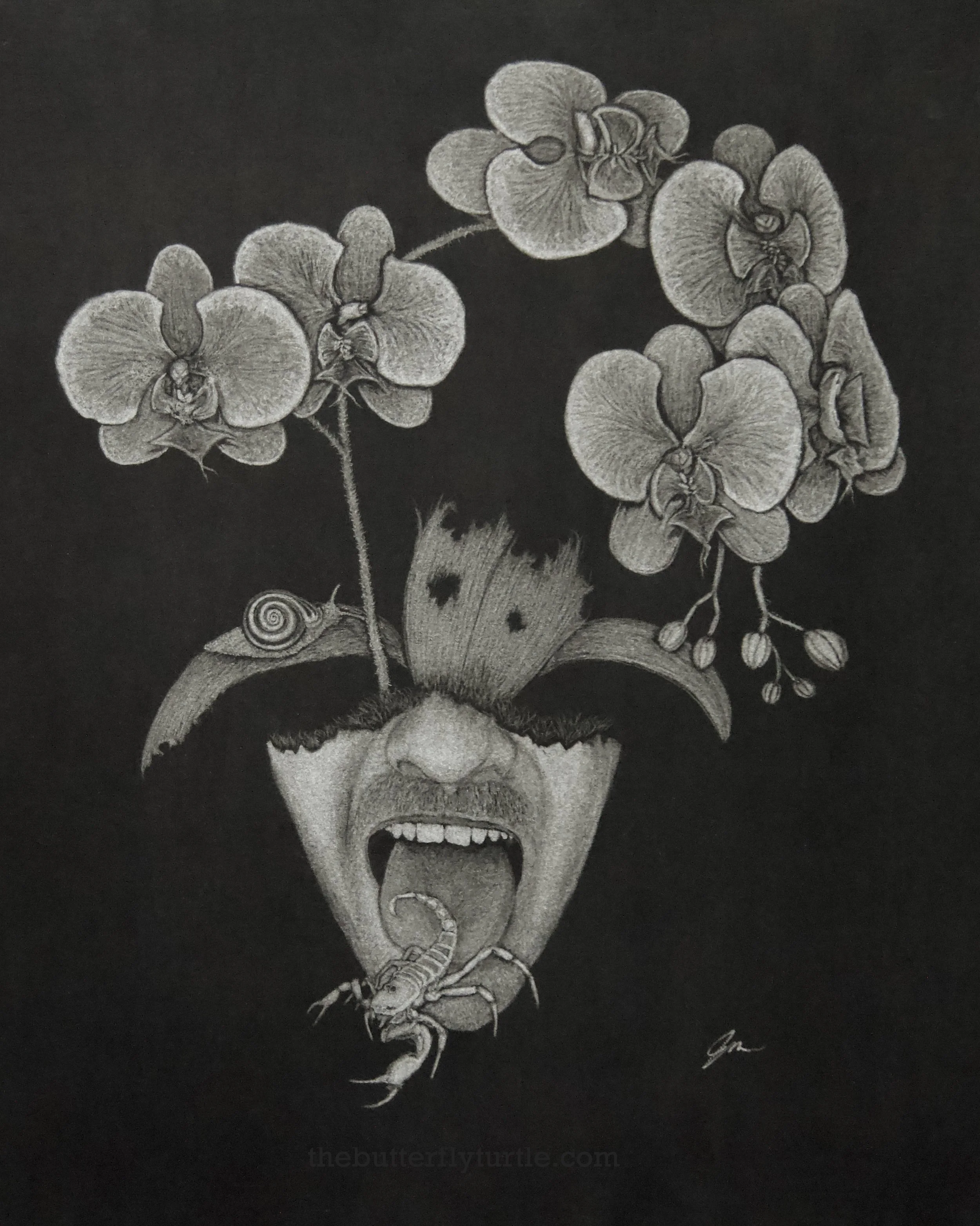 Size: 16x12in
Frame: 20x16in