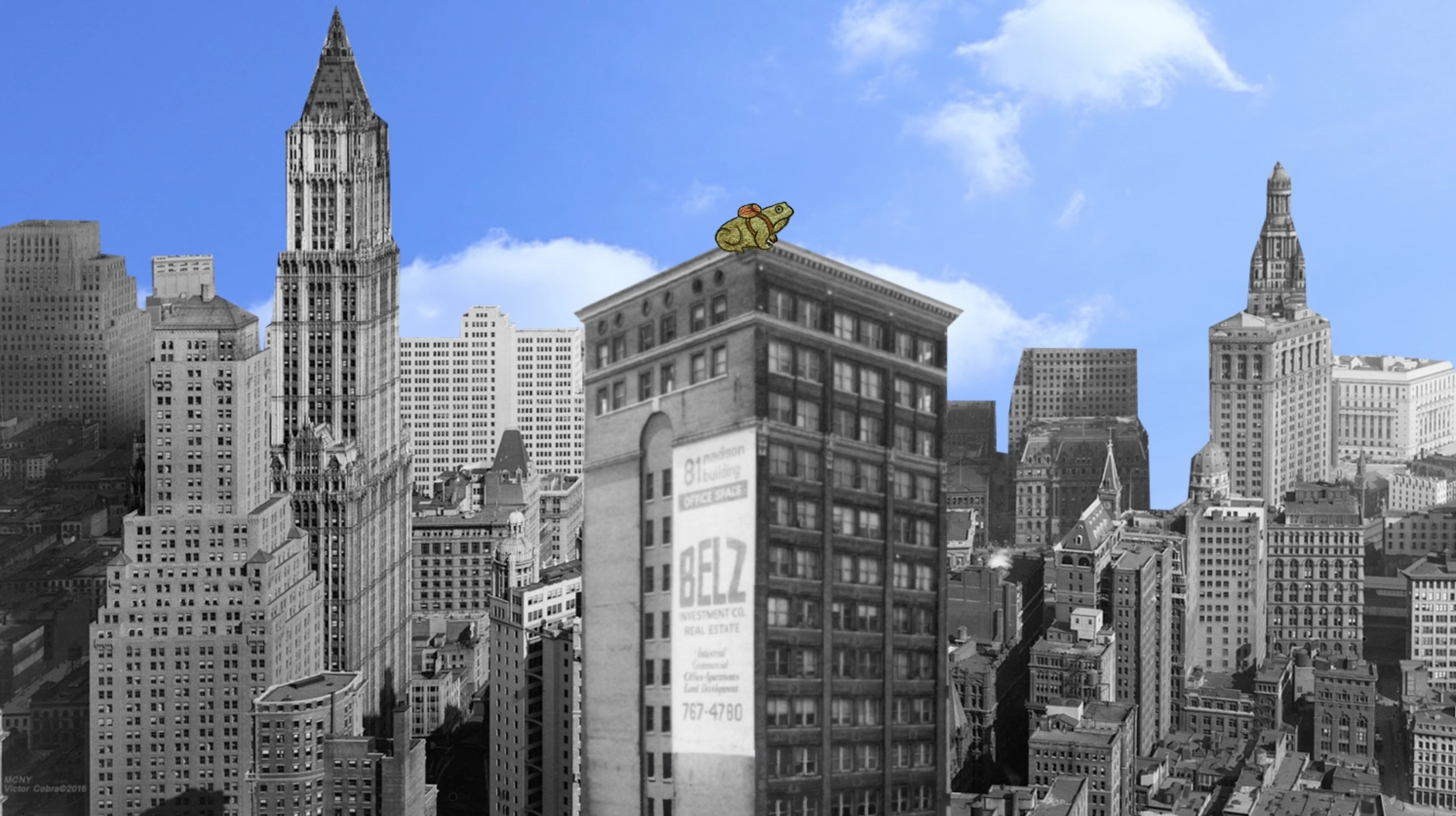 Video & Animation