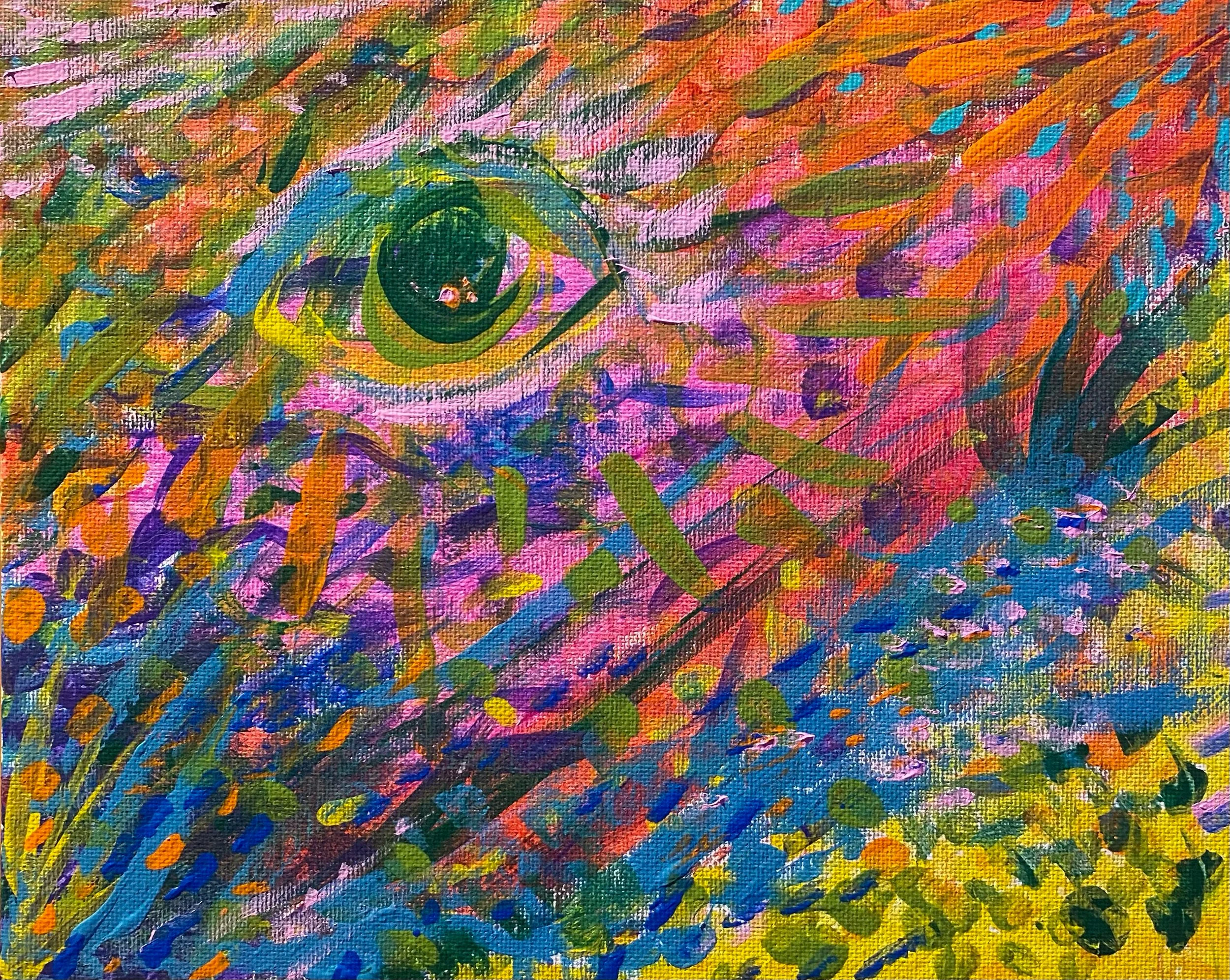 eye.jpg