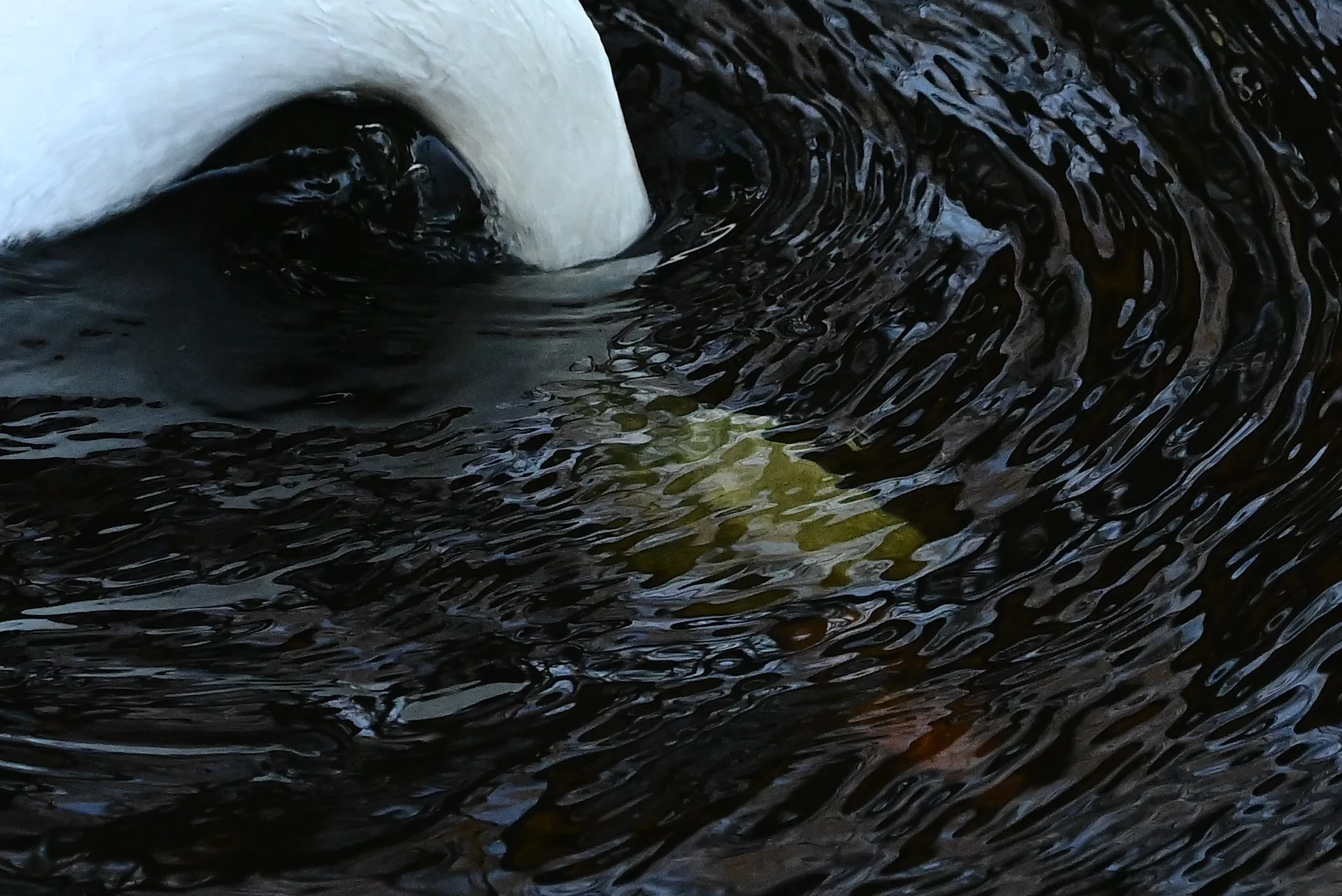 Veranstaltungsarchiv…weiterscrollen und abtauchen
