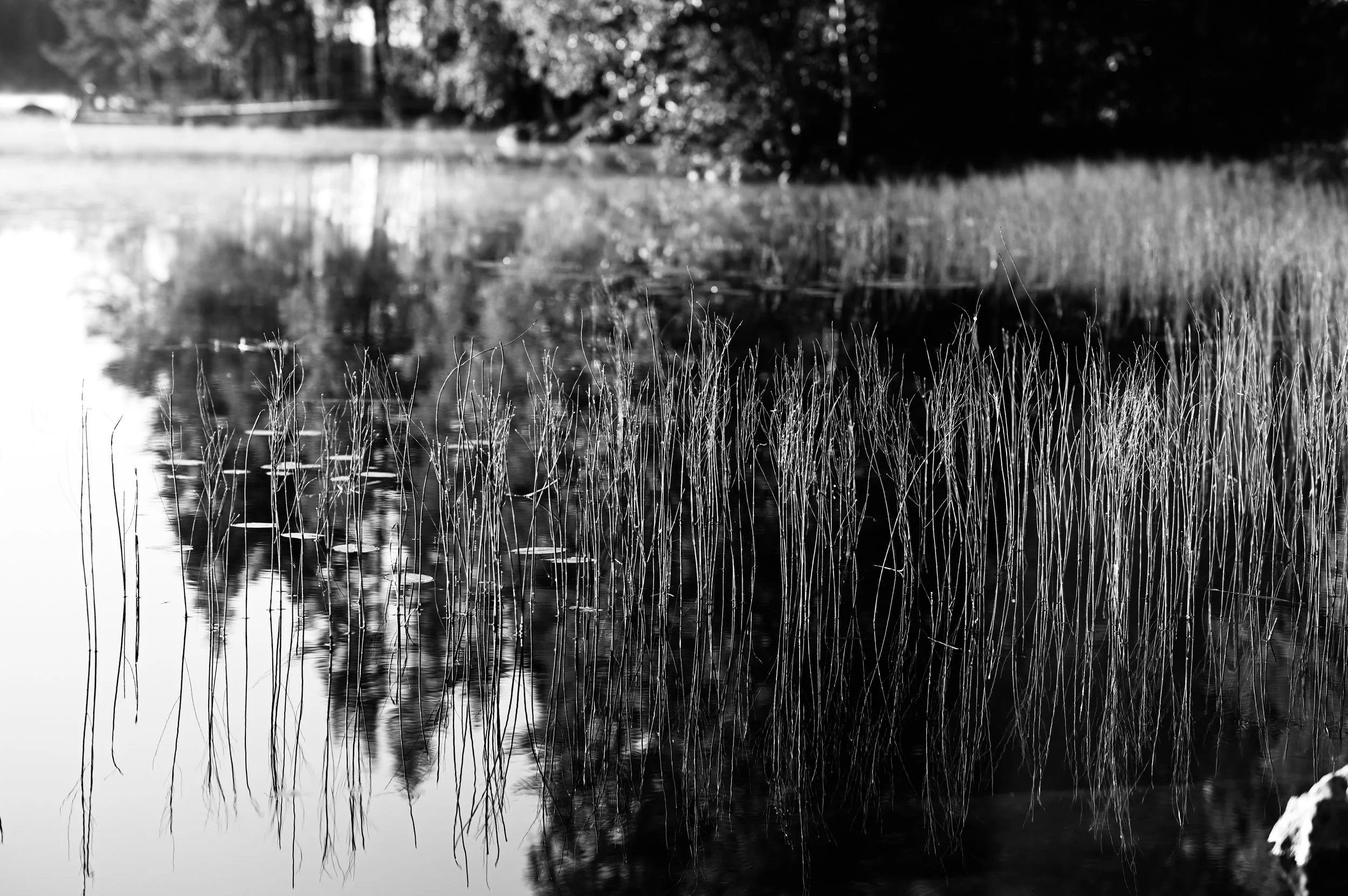 Start dieser Webpräsenz  