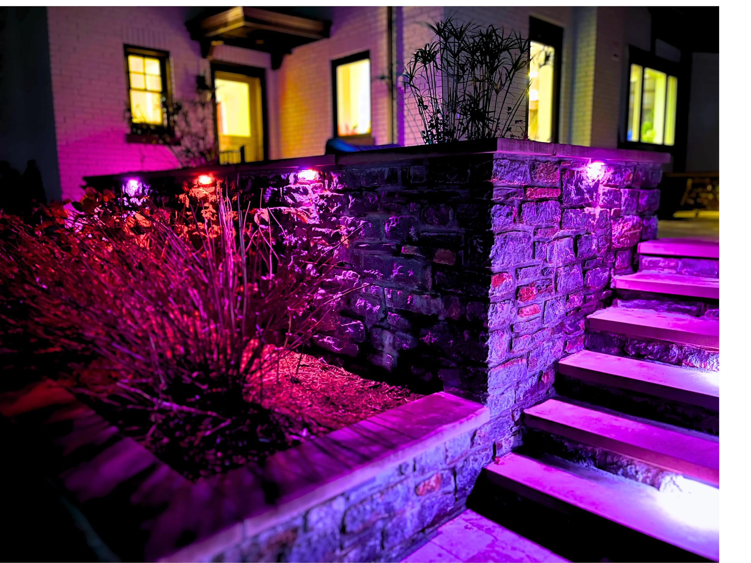 Untitled design copy 2.jpg