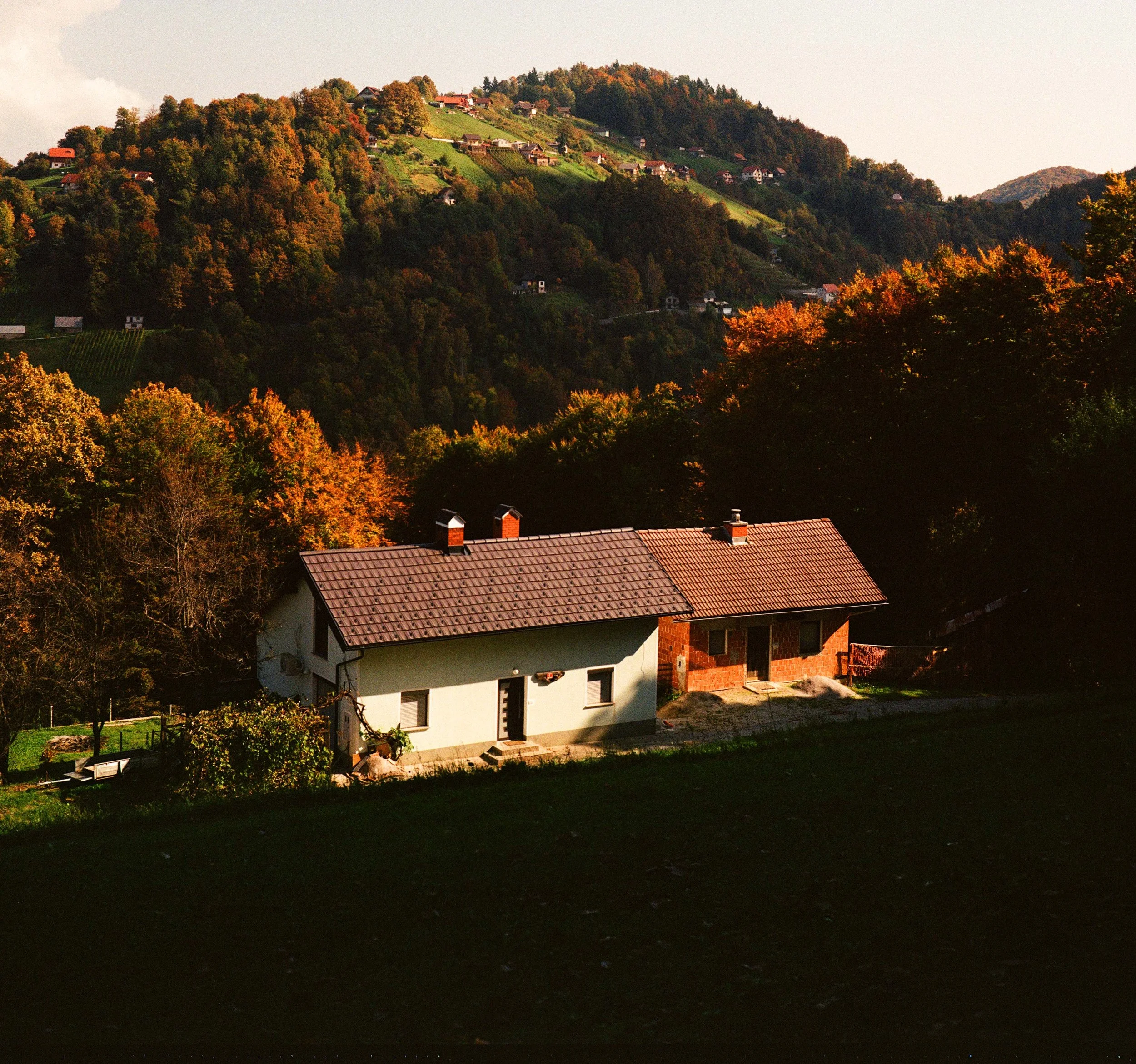 000029820005 copy.jpg