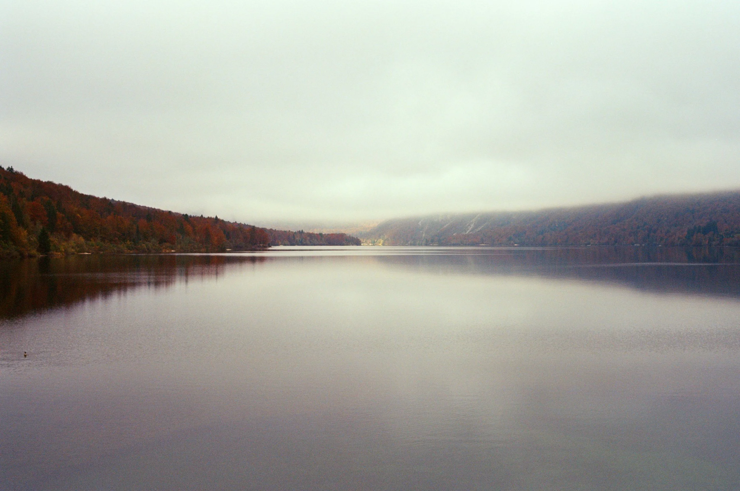 000029790012 copy.jpg