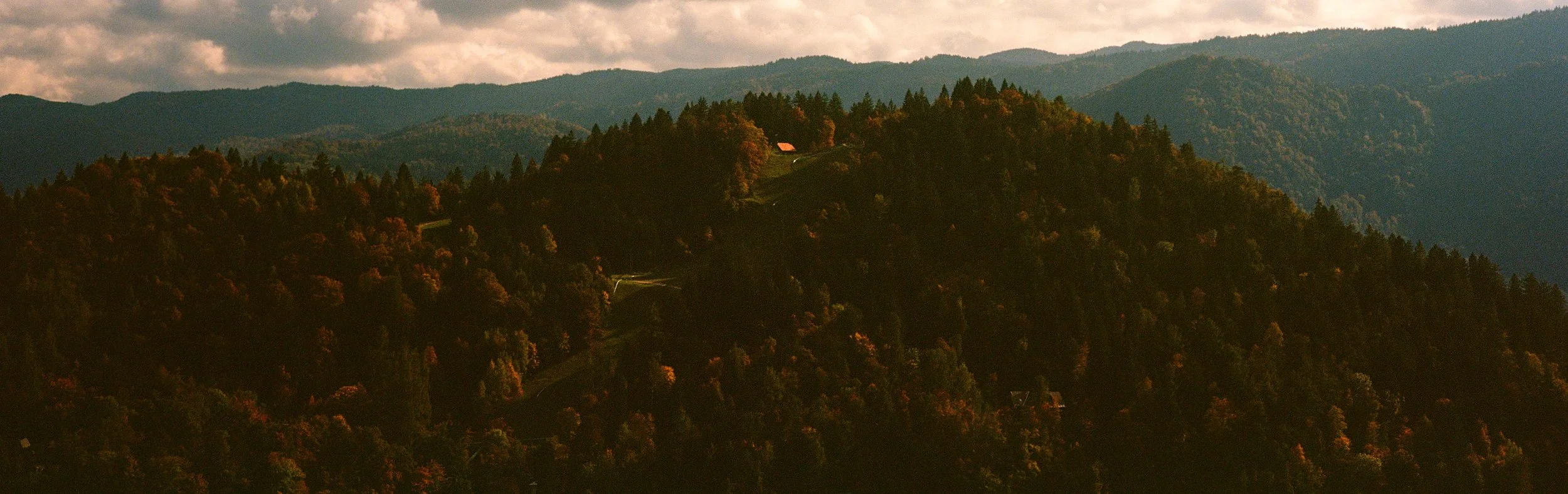 000029810011 copy.jpg