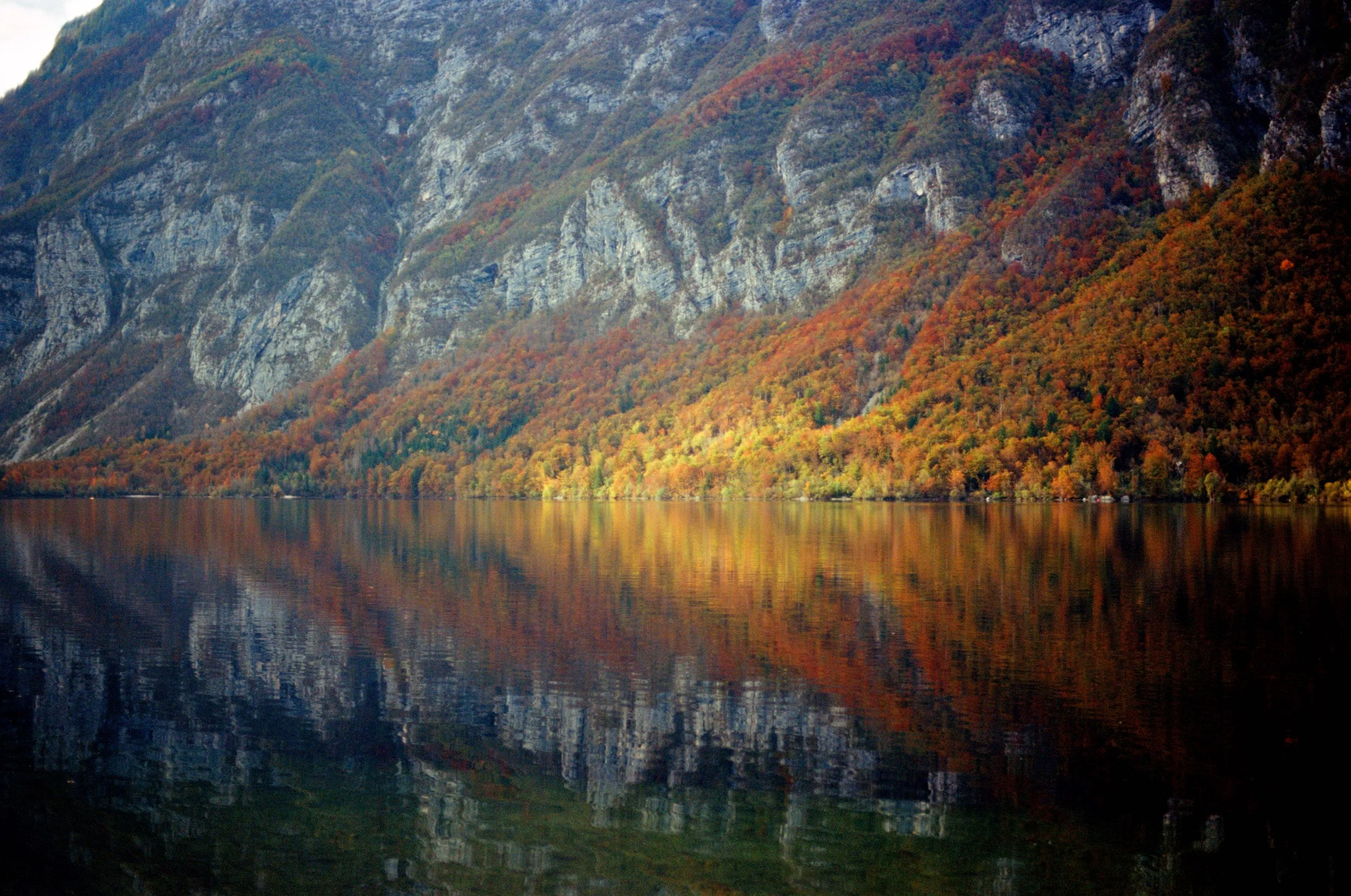 000029790004 copy.jpg