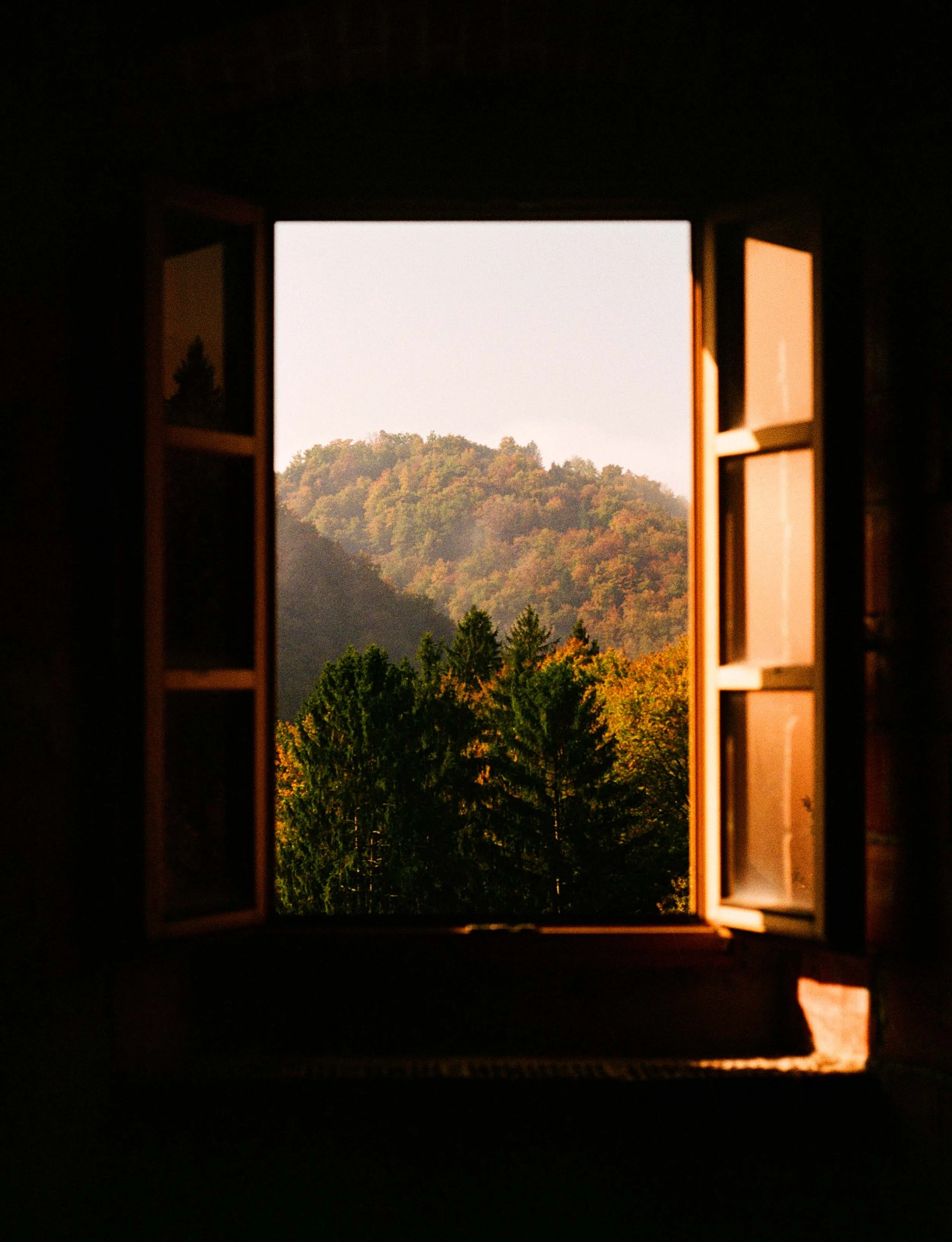 000029820010 copy.jpg