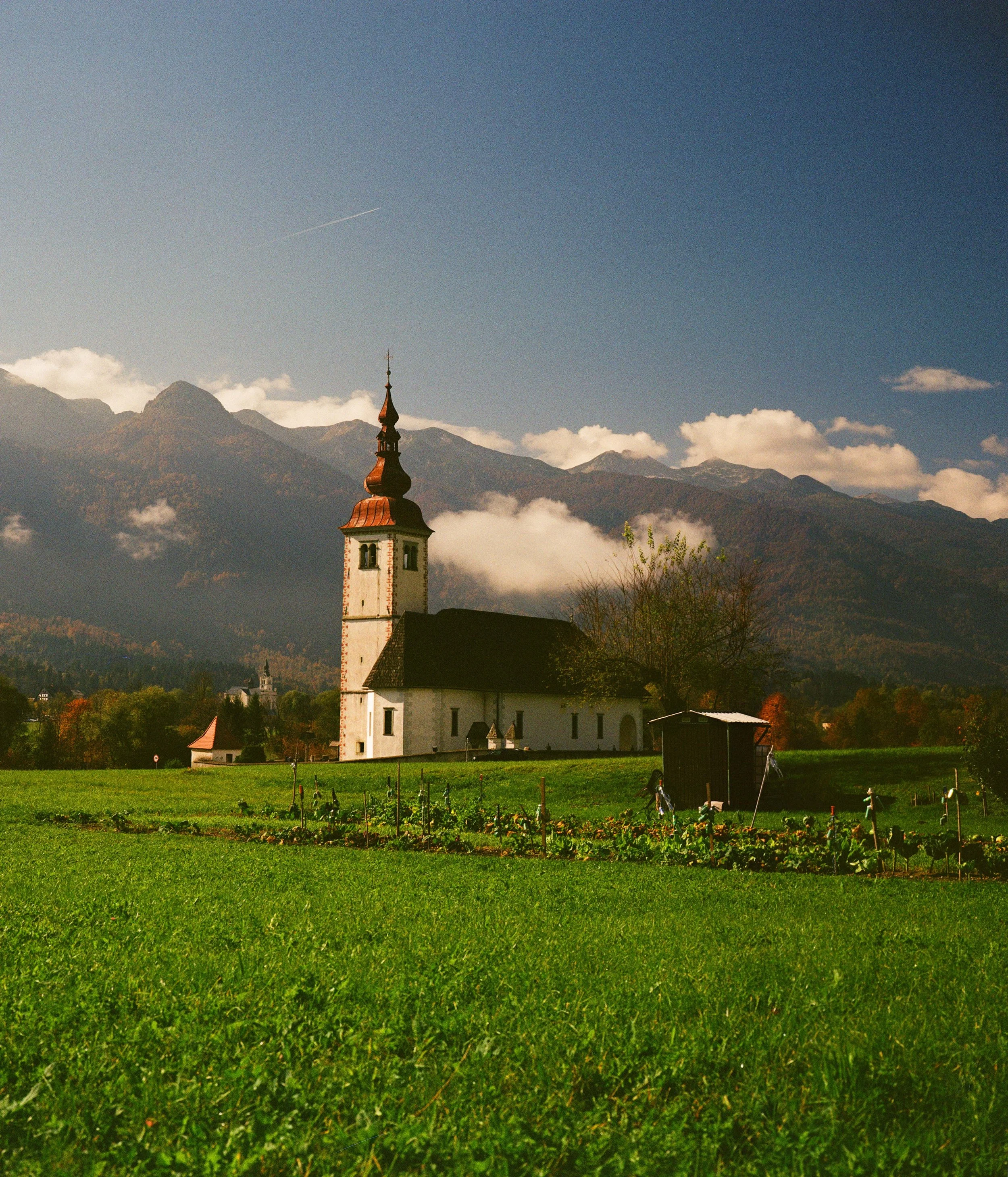 000029830002 copy.jpg