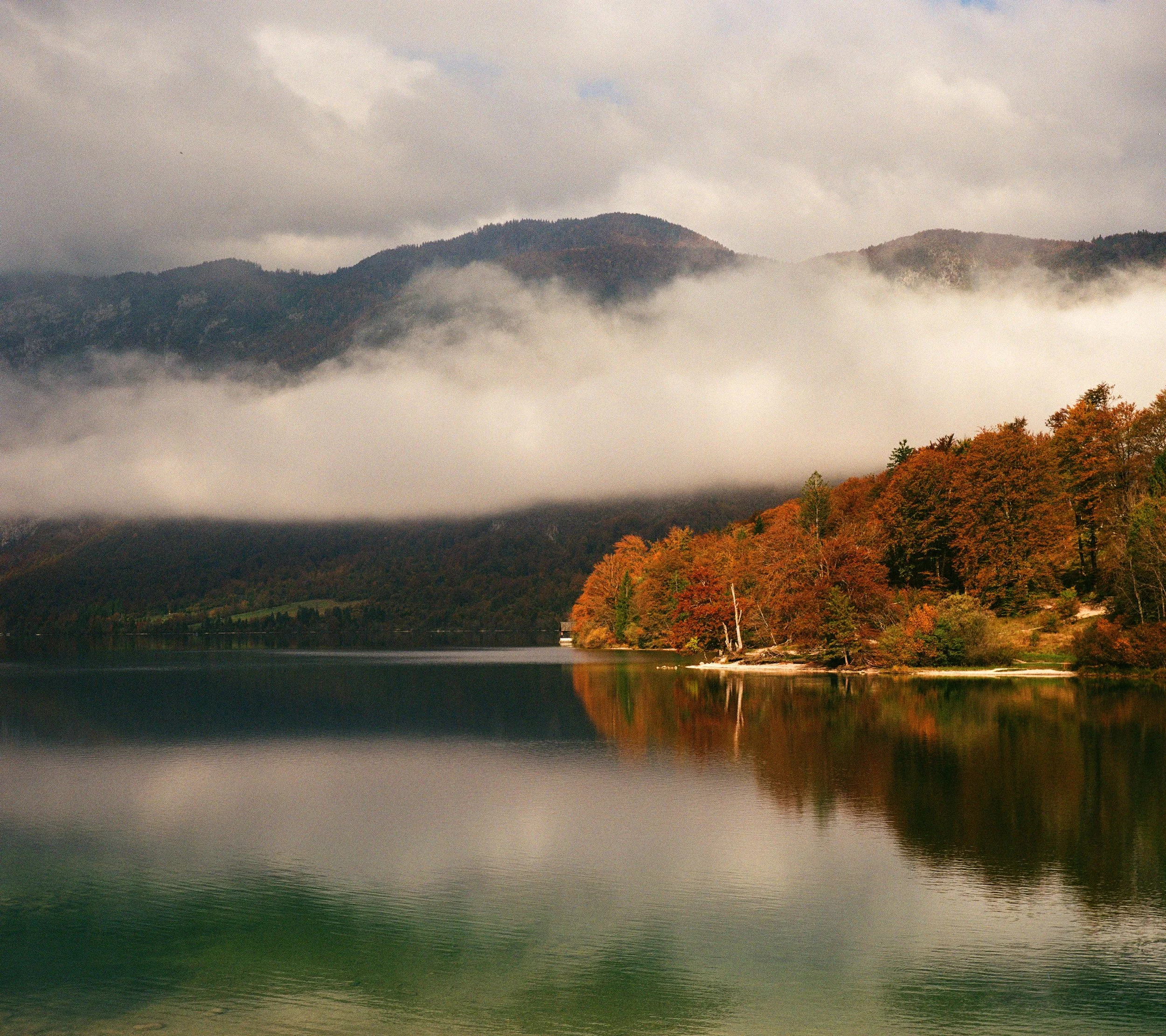 000029830004 copy.jpg