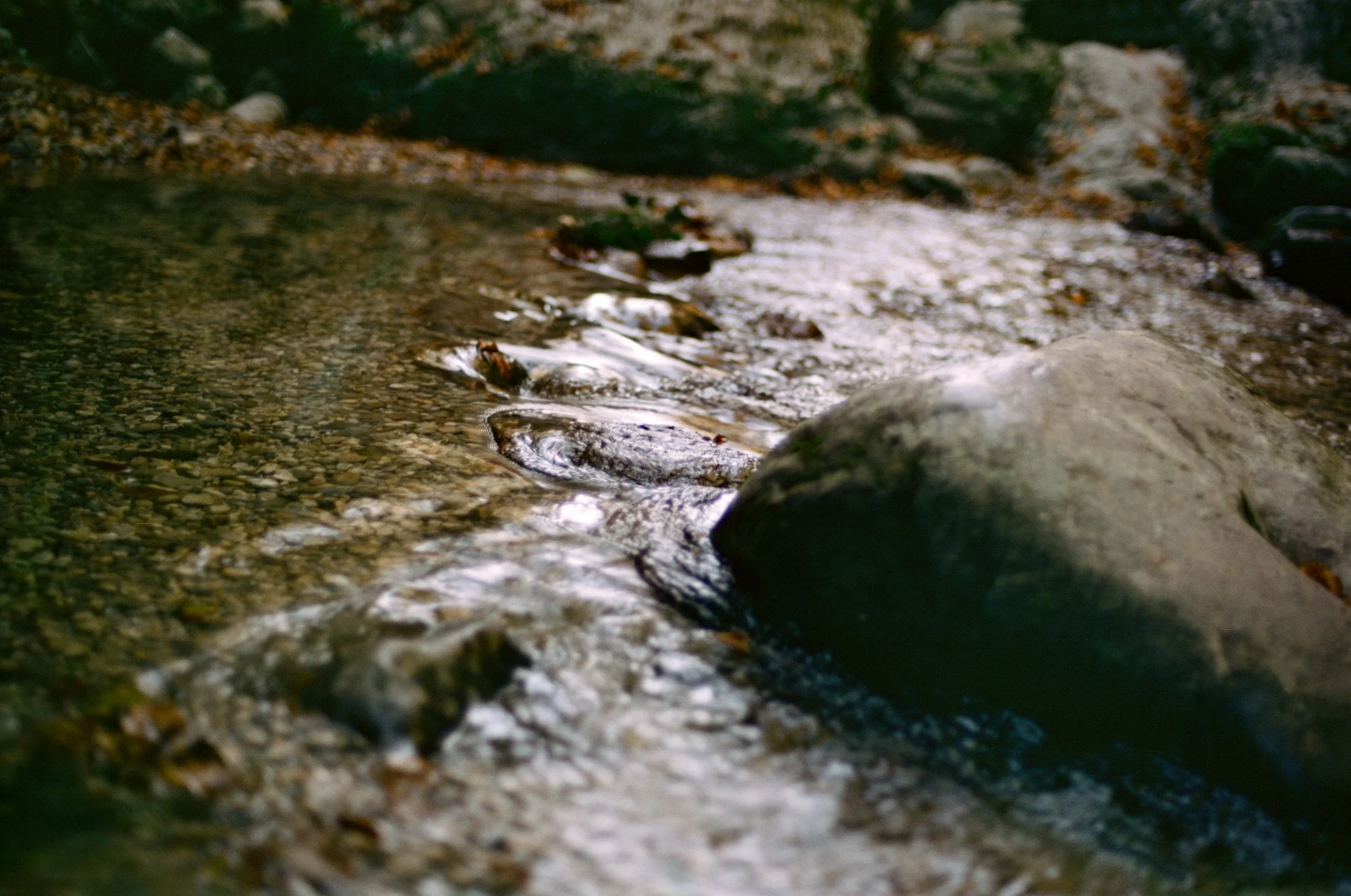 000029860006 copy.jpg