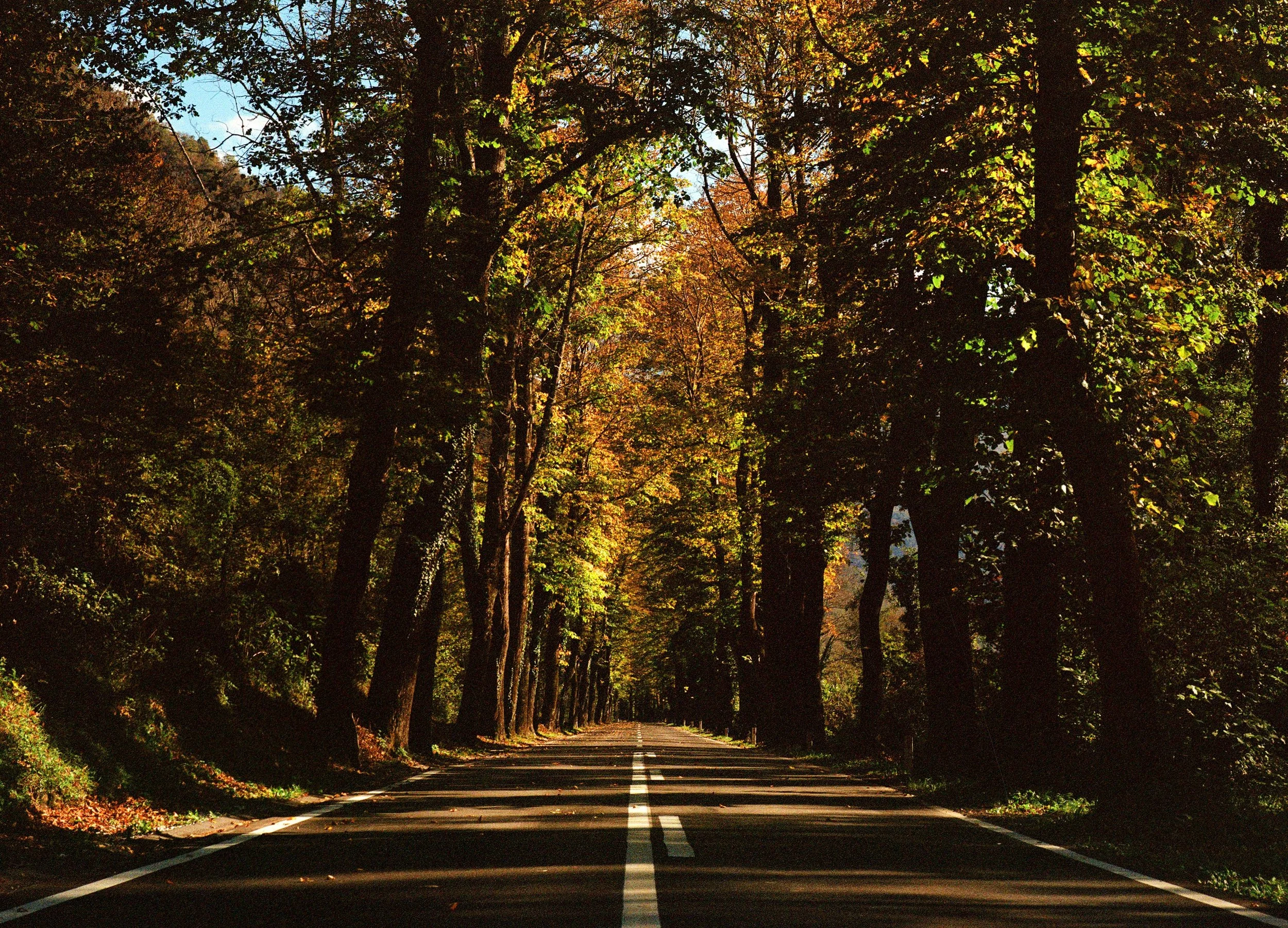 000029840004 copy.jpg