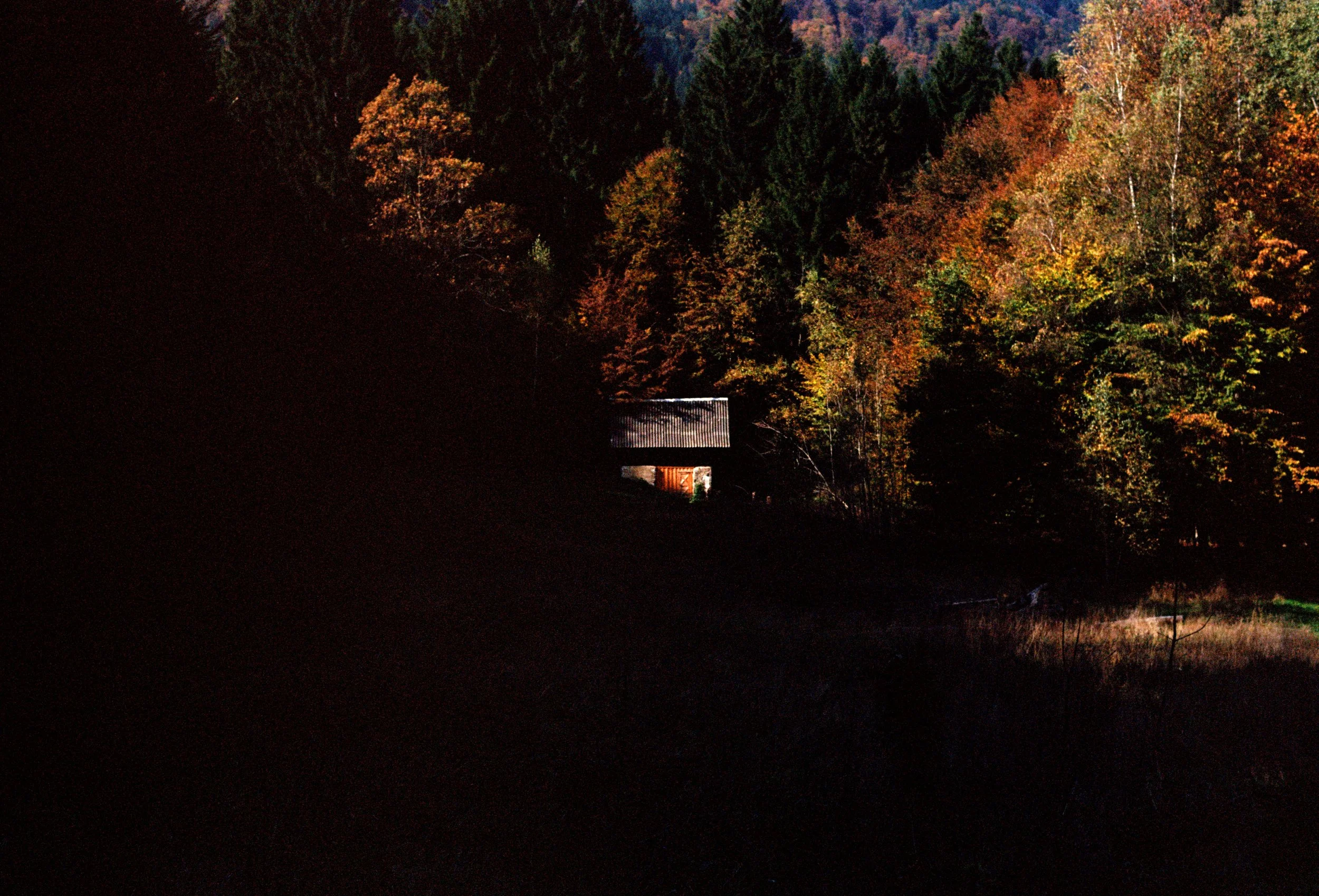 000029790029 copy.jpg