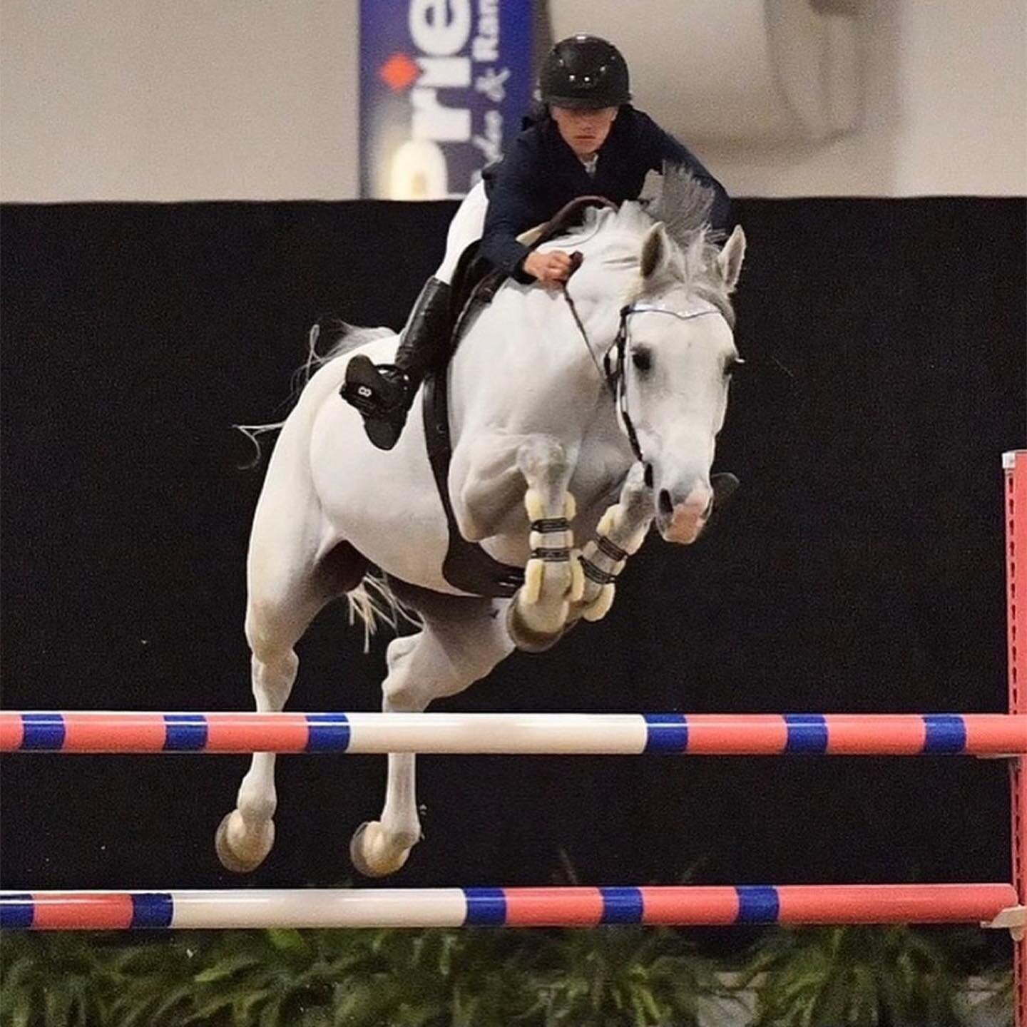 Wrapping up @thelasvegasnational with a 🥇 in the 1.10m Open Speed out of 65+ and a 🥇 in the 1.20m Low Jr Speed. 

Repost from @rowansmark05
&bull;
A huge thank you to @georgesbittar_ for all the incredible training and support this week. And for al