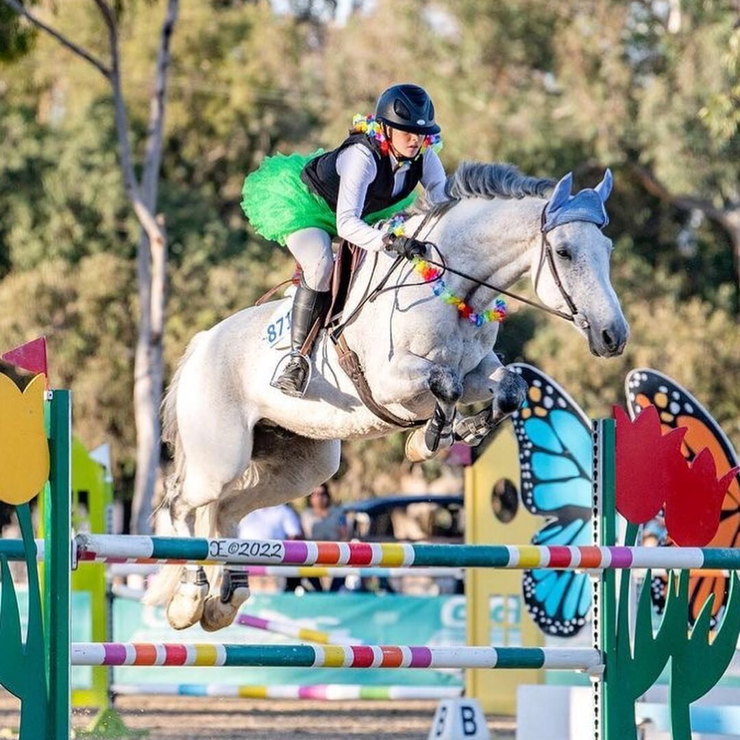 Check out our costumes at this year&rsquo;s Halloween Spooktacular show with @westpalmsevents. Riding in the 1.20 Mini Prix @rowansmark05 and @_rebecca_eq had some quick rounds in their costumes 🎃 👻 

Repost from @_rebecca_eq and  @rowansmark05

#h