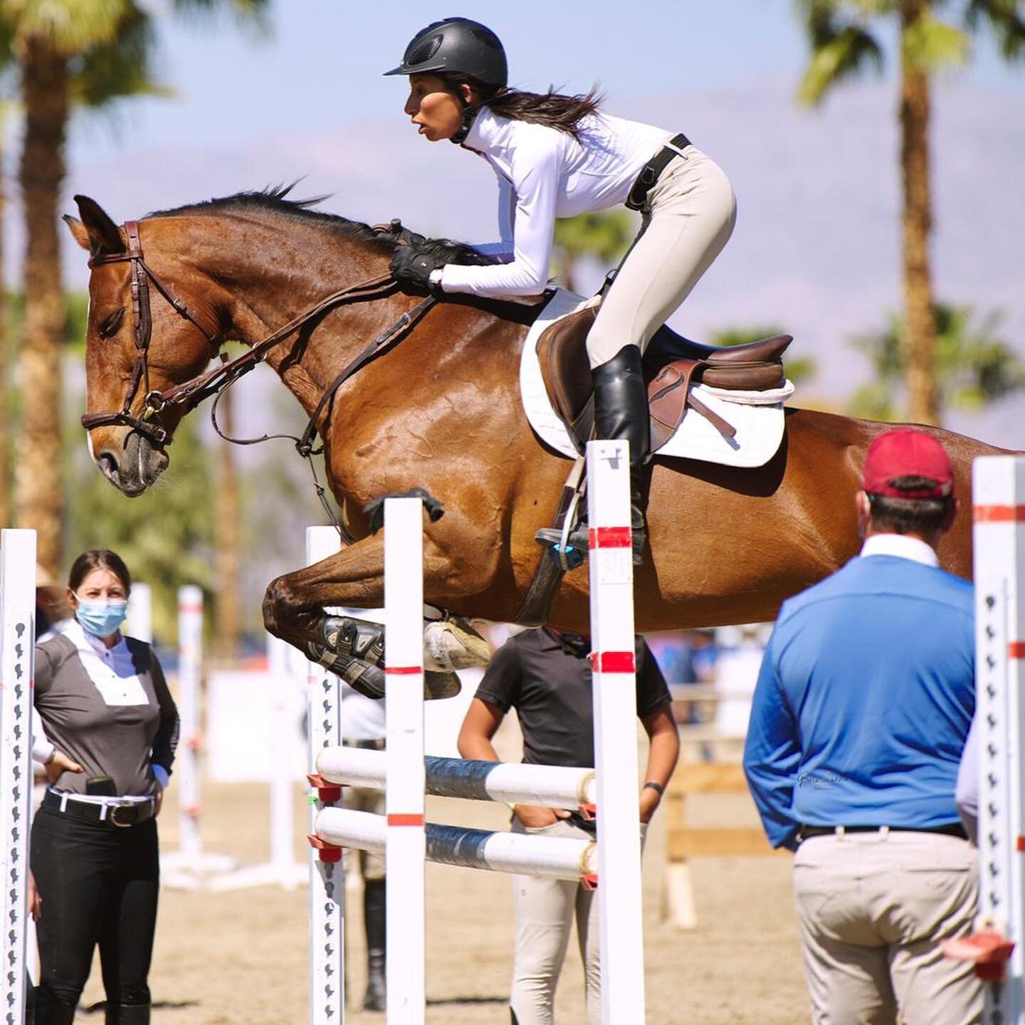 @lindaazab riding the one and only #Beirut_B ✨💕 photo by @bellasavillephoto www.bspequestrian.com