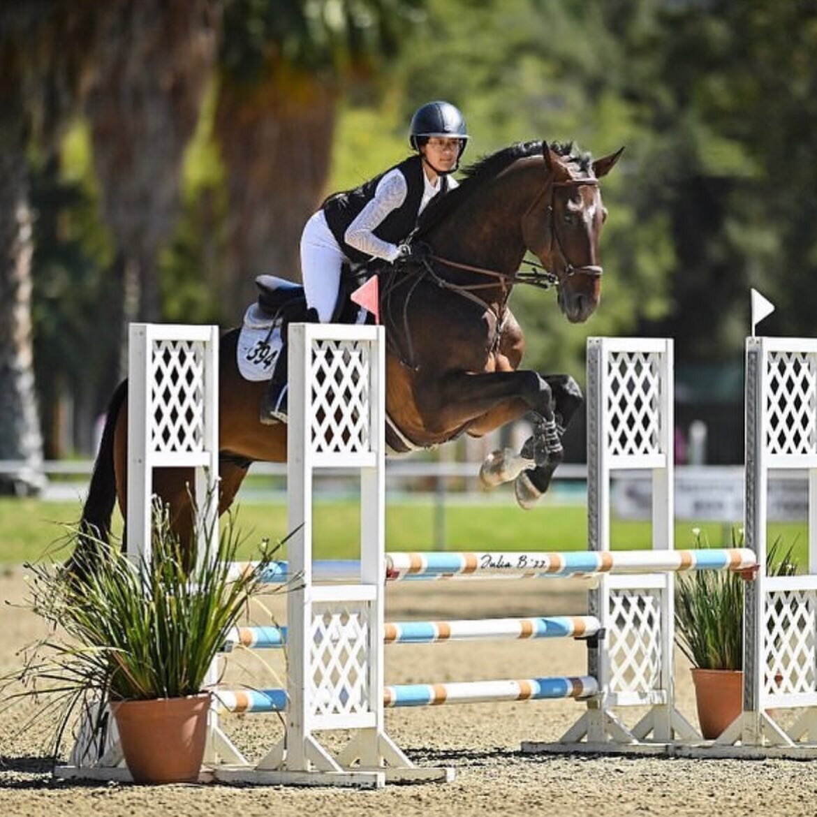 Had an amazing few days showing at the Hollywood Classic. So happy with these two, both placing reserve champion in their division. Thank you @georgesbittar_ and @bittarstables for a great weekend!

Repost from @_maddie.a_