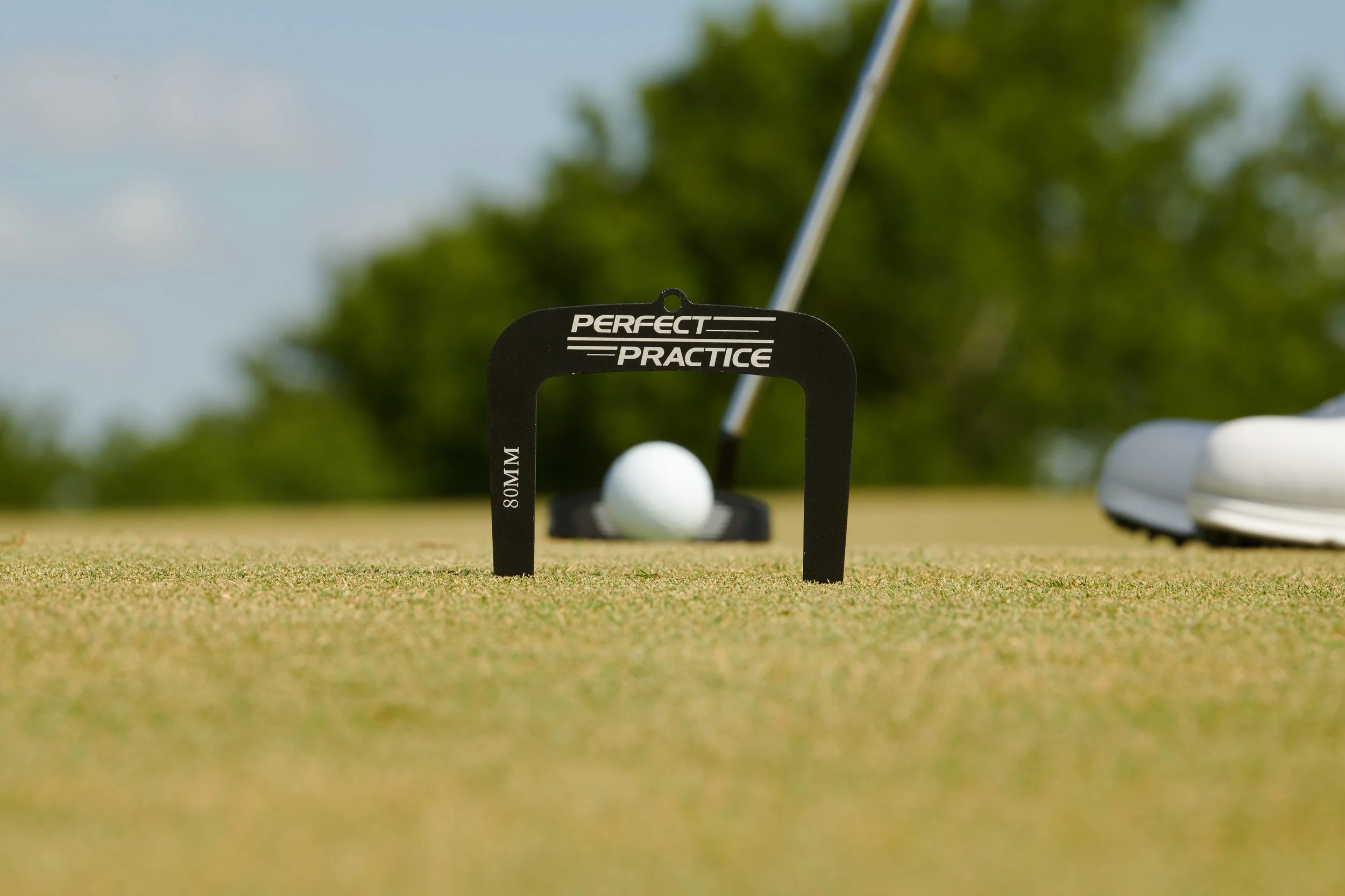 PFP_Putting_Mat_20220714_MDF276_0.5x.jpg