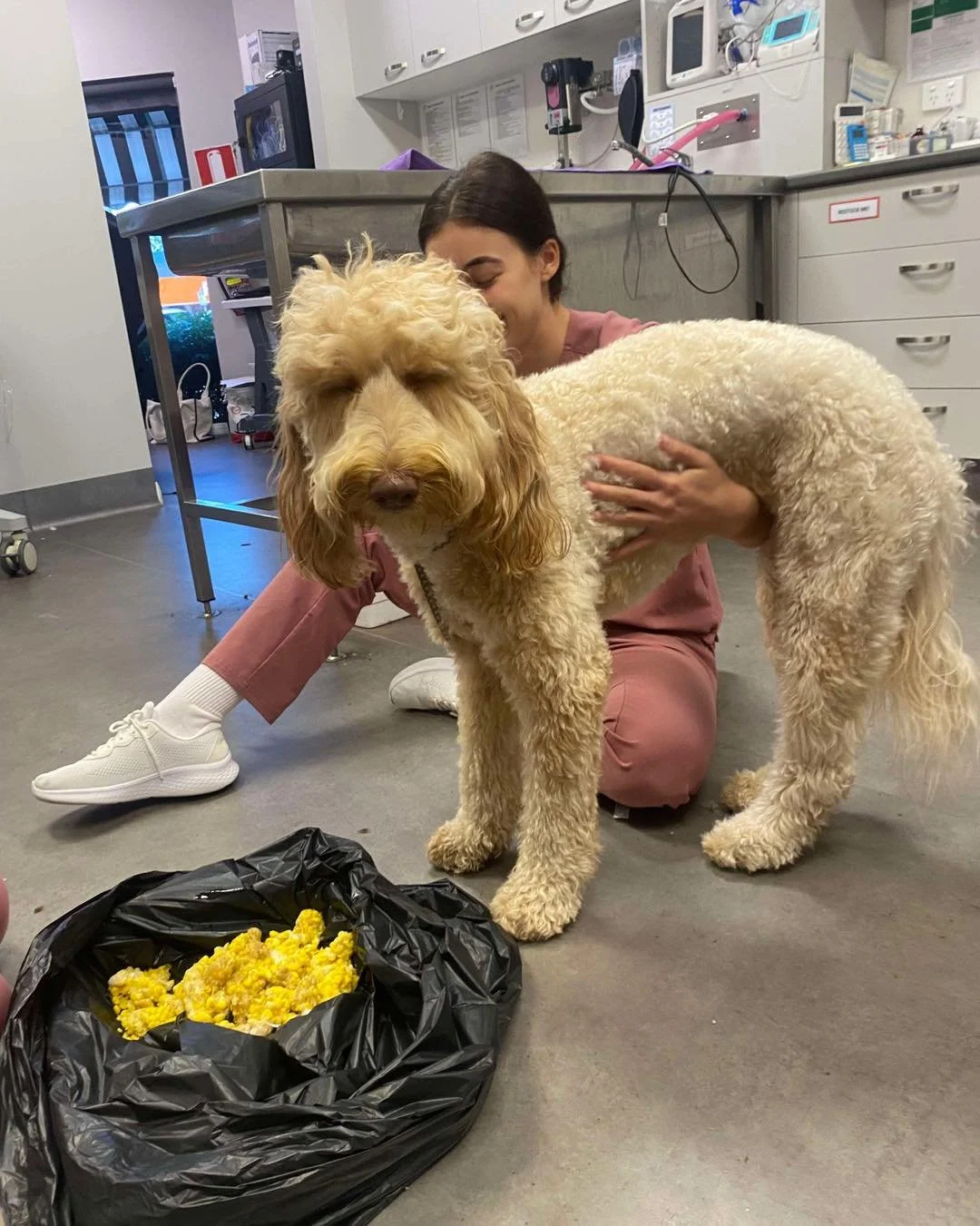 WHAT&rsquo;S the number one thing we have to remove from our paw friendies bellies&hellip;? Okay so there are a few up there. And there&rsquo;s definitely been some strange ones we&rsquo;ll save for another time so we don&rsquo;t put you off your din