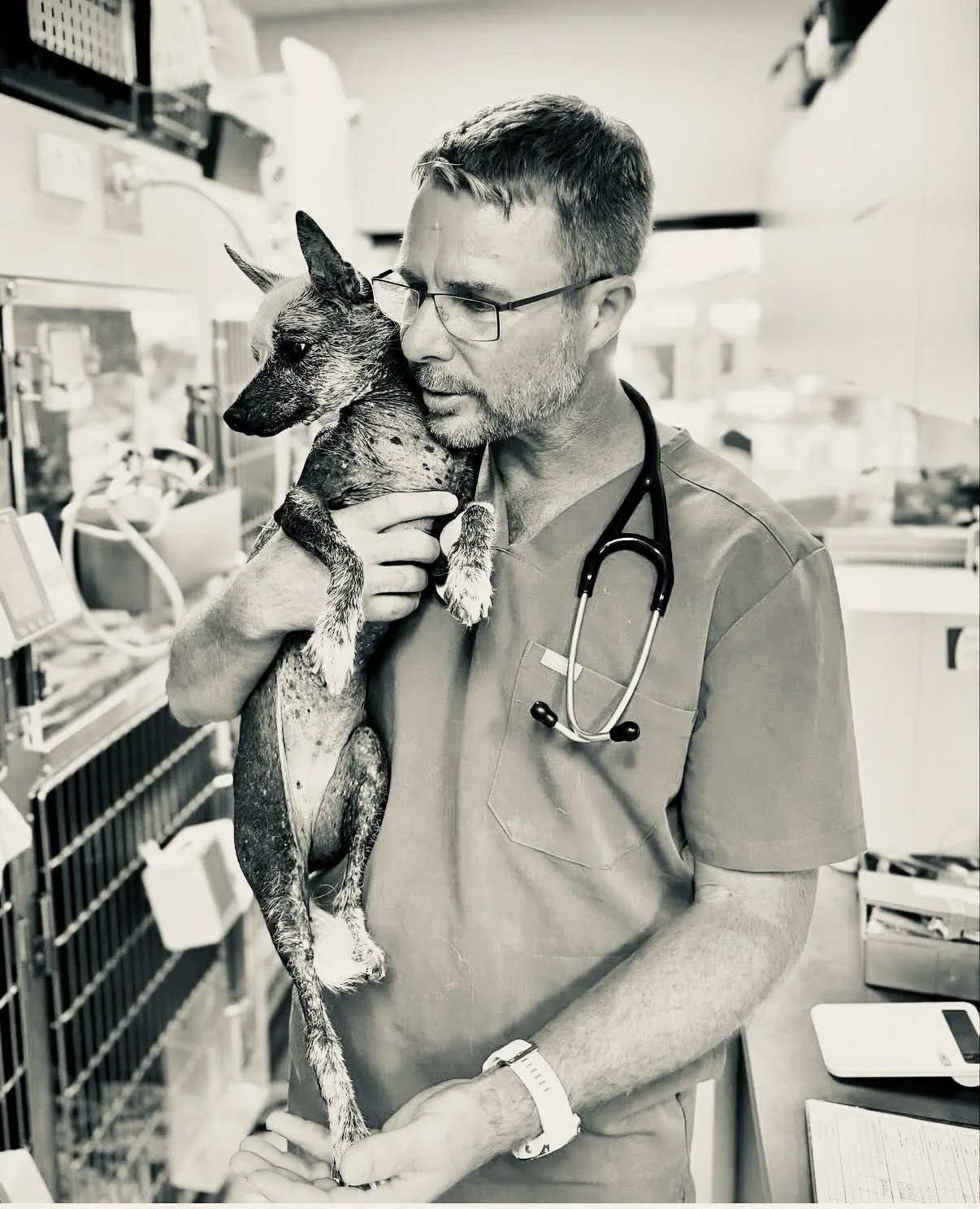 WORLD VET DAY: HE takes the calls after hours. Answers the messages from worried families. He comes in on his rare days off. And gives out advice whenever asked by neighbours, community and strangers. He puts them before himself. Will stay back late 