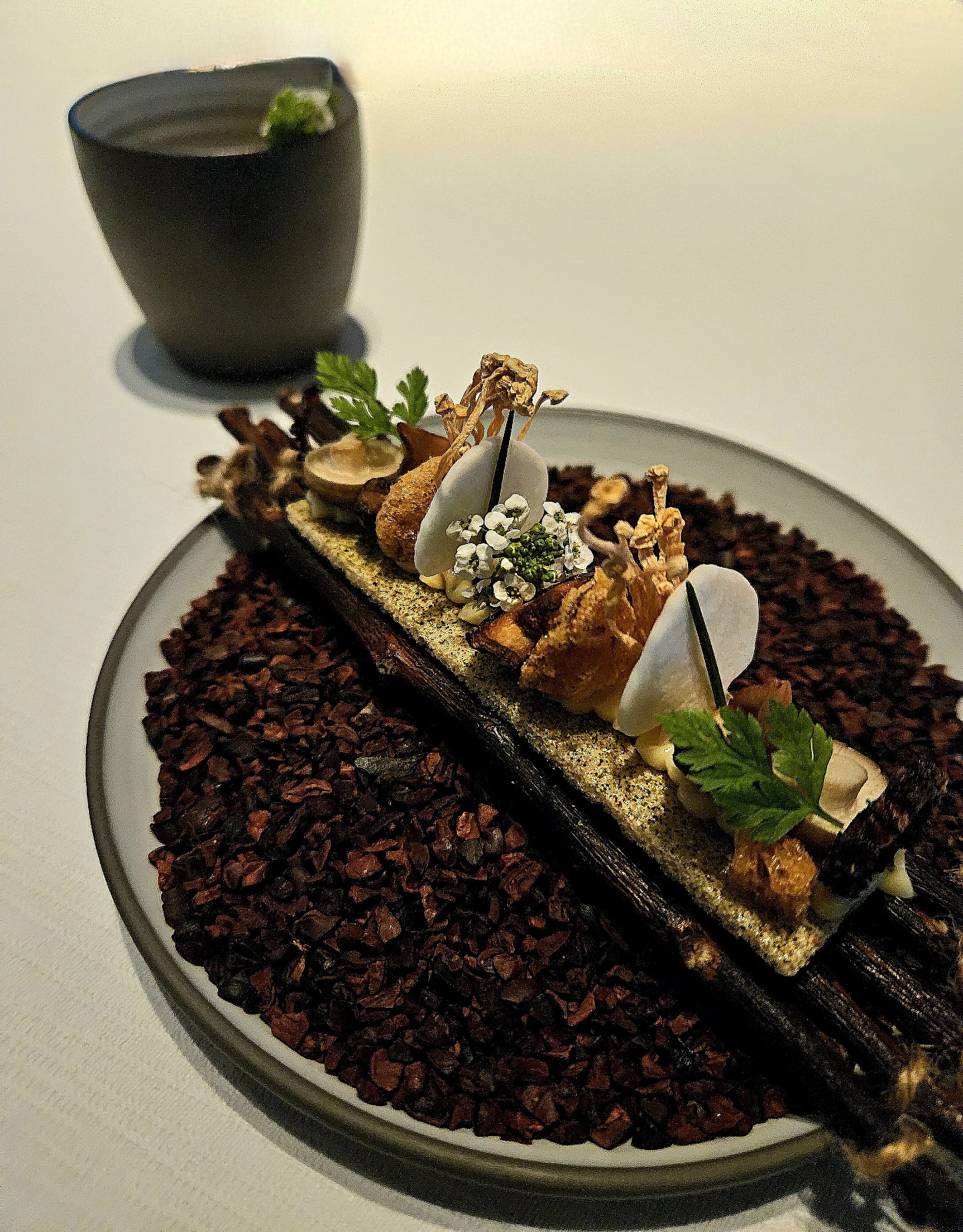 Ossiano food on top of a log