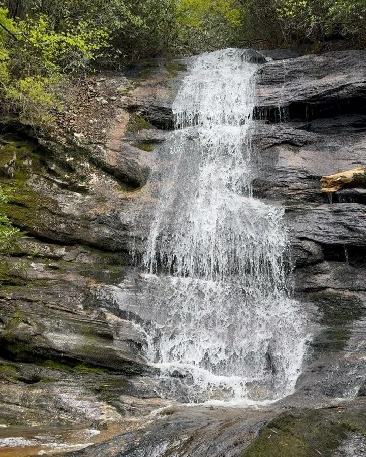 Yesterday, we paused to honor those who gave everything&mdash;fighting for freedom, love, and a future that includes EVERYONE.

Grateful for the chance to reset in the Highlands, NC&mdash;mountains, wildflowers, and a little peace + perspective. 💚✨⛰