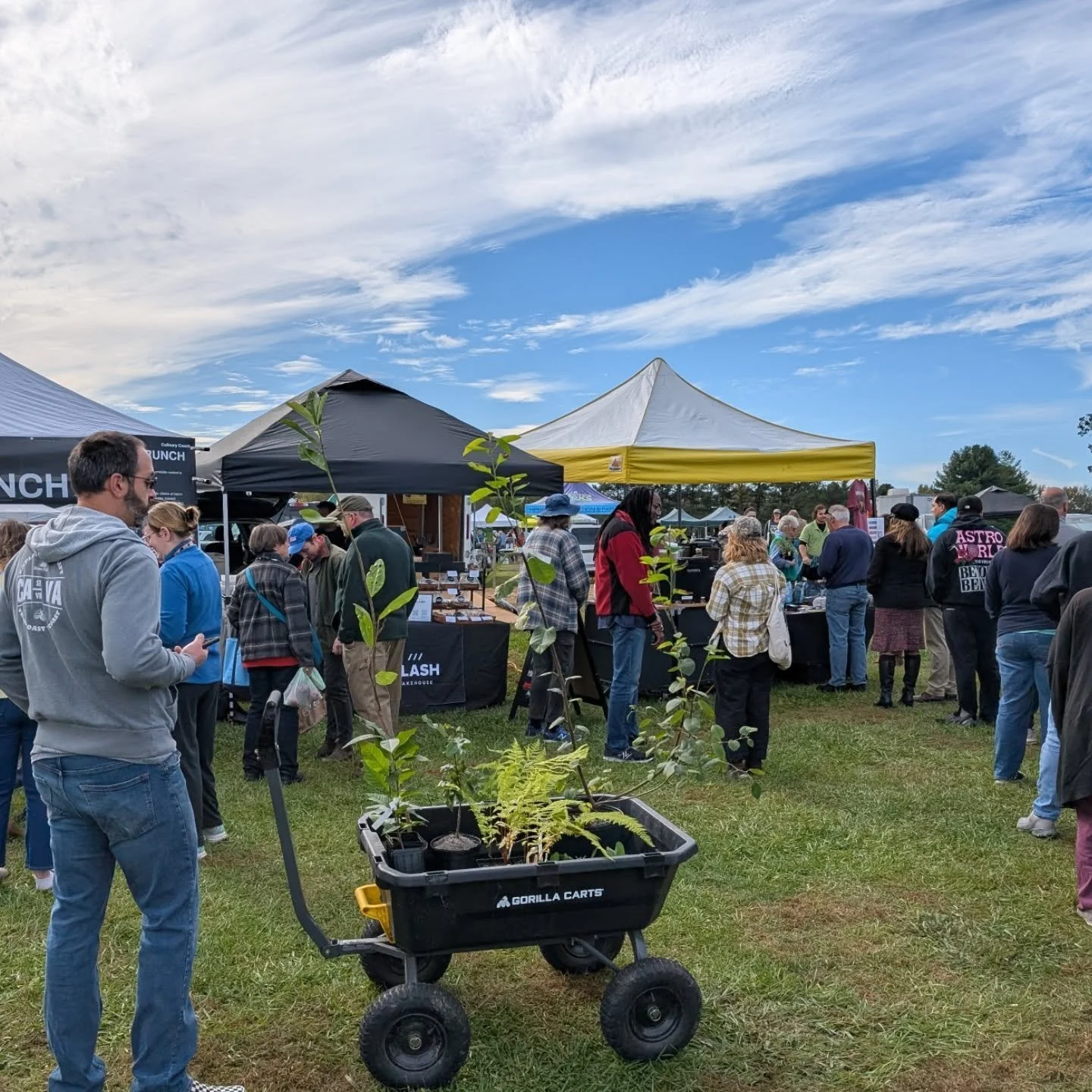 /// Thanks for a sell out, @doreyfarmersmarket!

We'll be back next Saturday for the last market of the year!