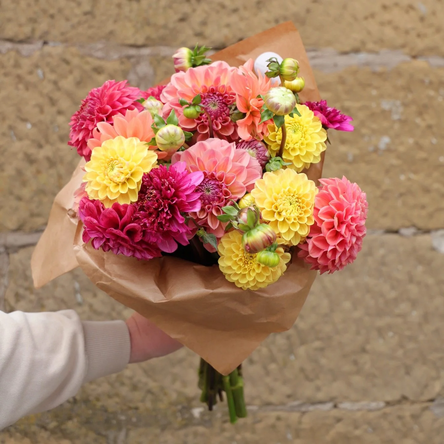 What a magic way to lighten this overcast week ✨ gorgy fresh blooms in store by local lovely @blossflowerfarm 

📸 @lydia_wlsn
