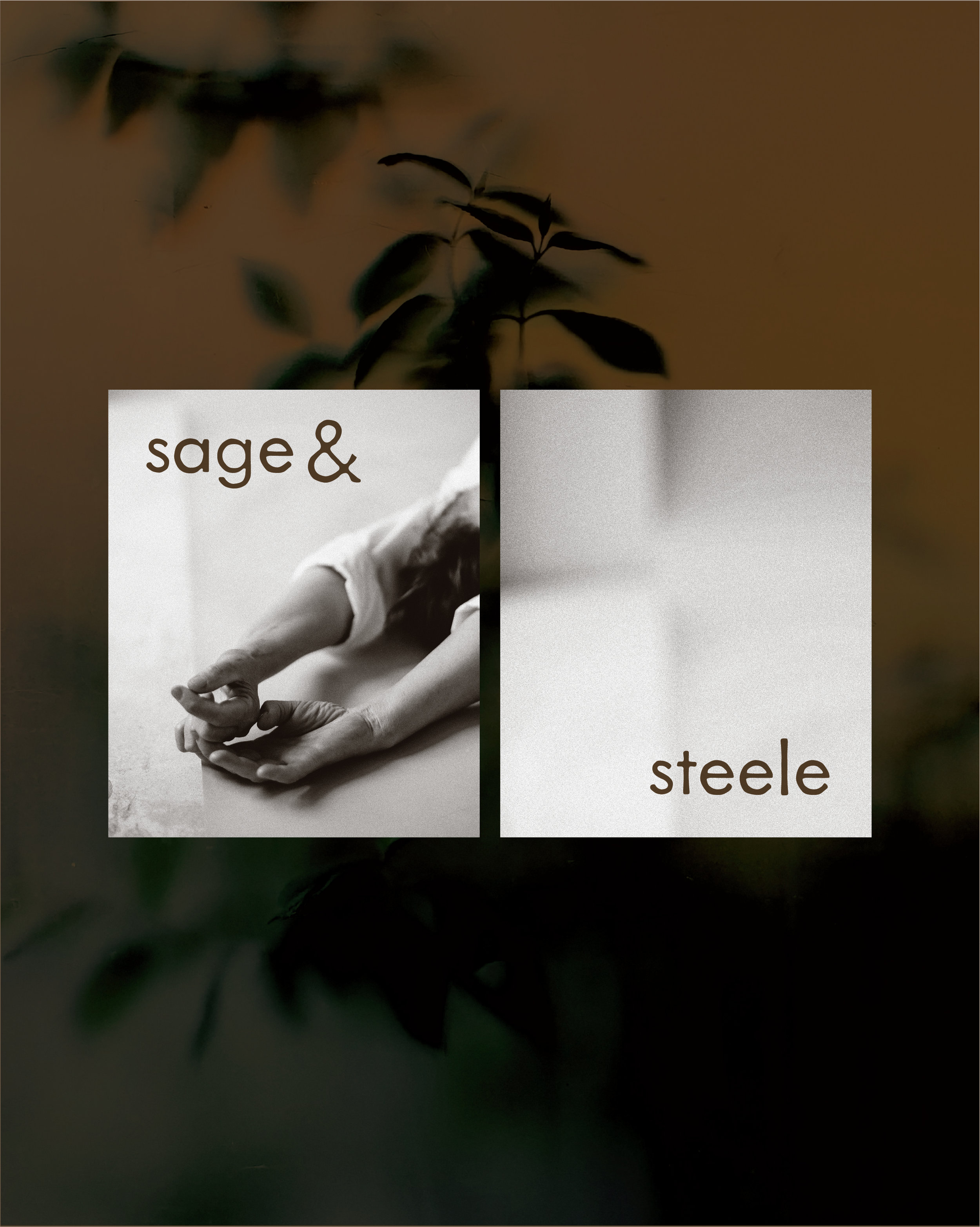 sage and steele.png