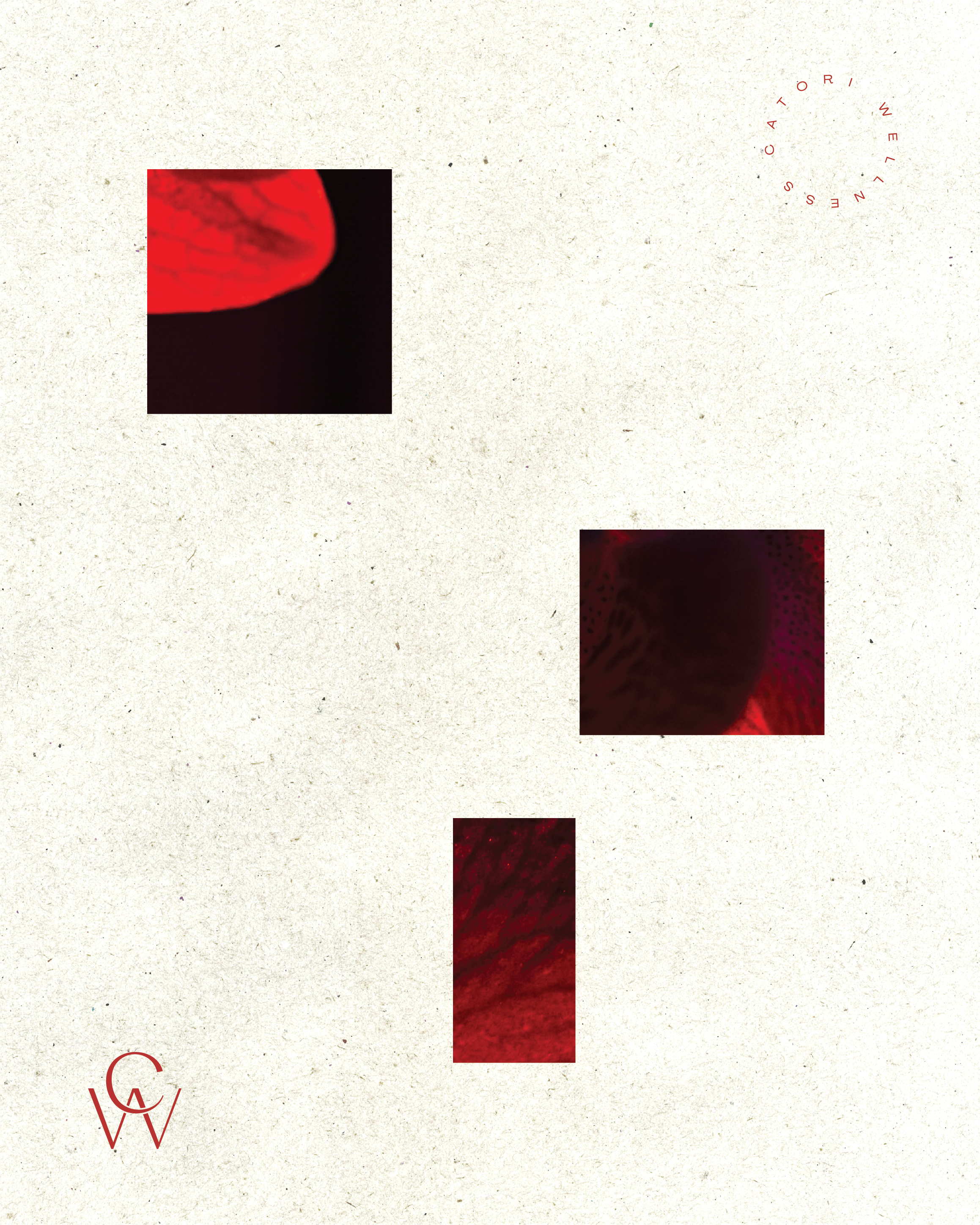 catori wellness_abstract.png