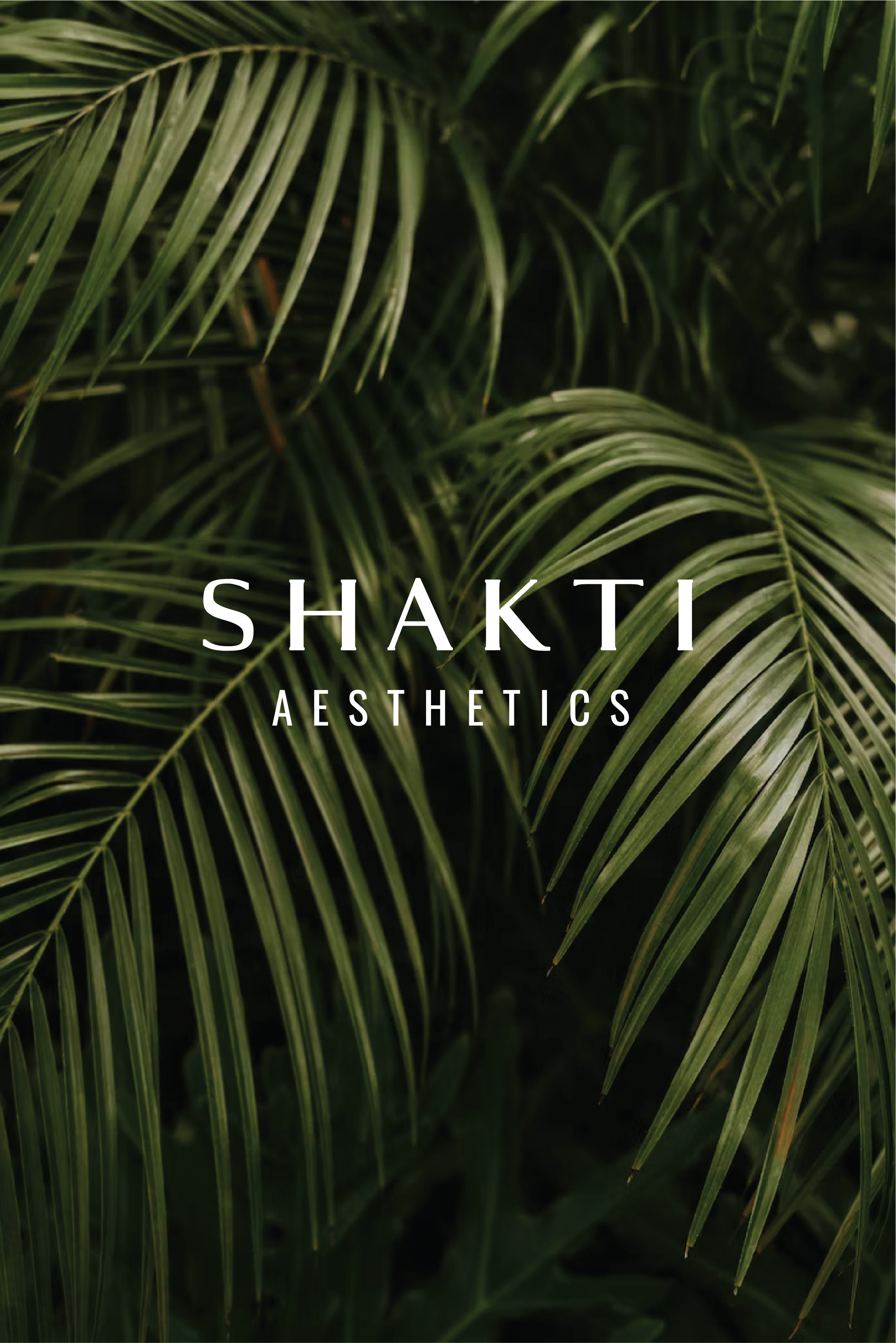 shakti aesthetic.png