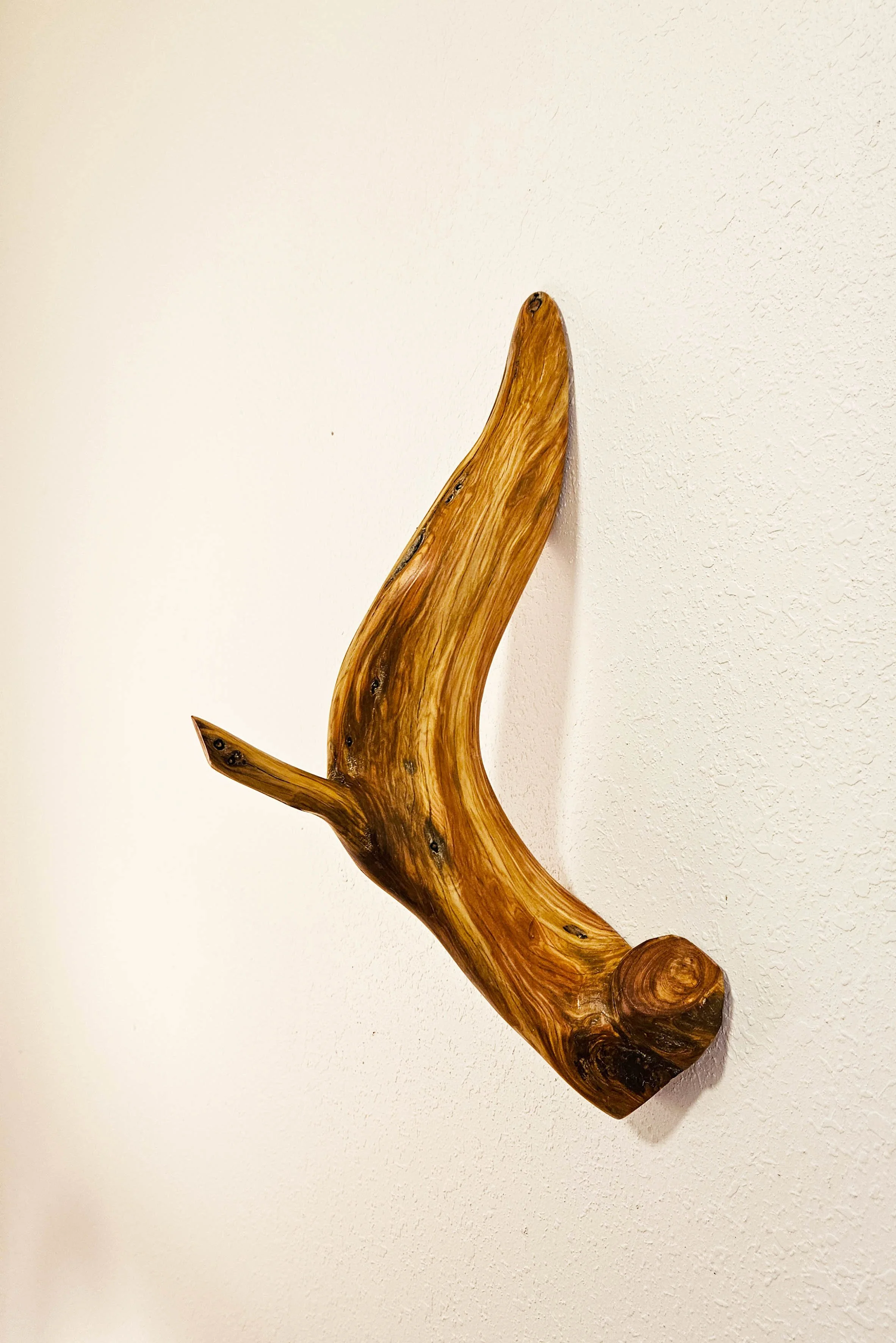 wall hook.jpg