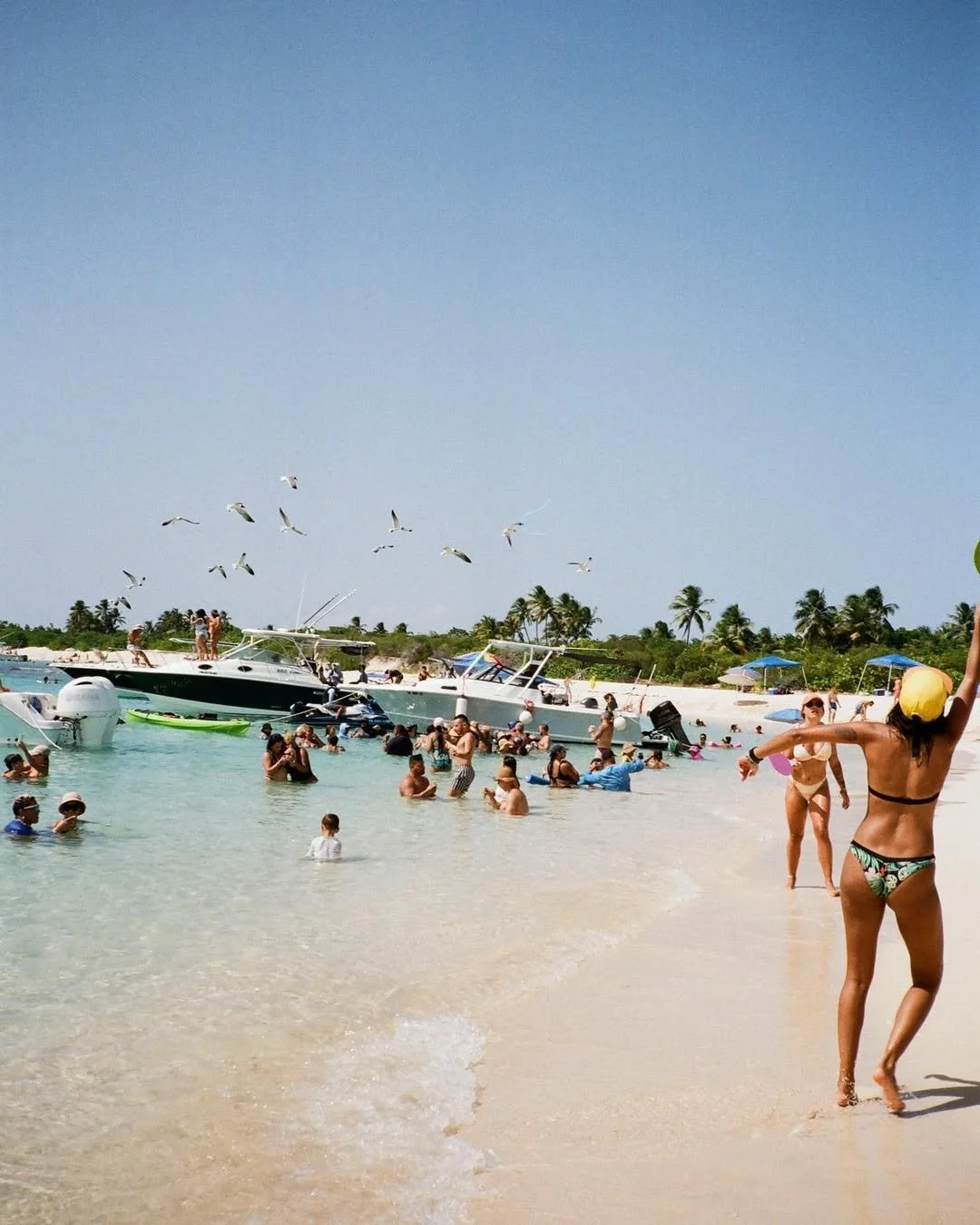 Petition for summer to never end 🌊 A few places that I’ve been to lately 🪷.jpg