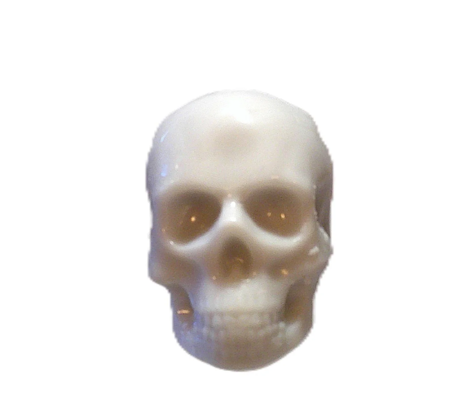 scary skulls 4.JPG (Copy)