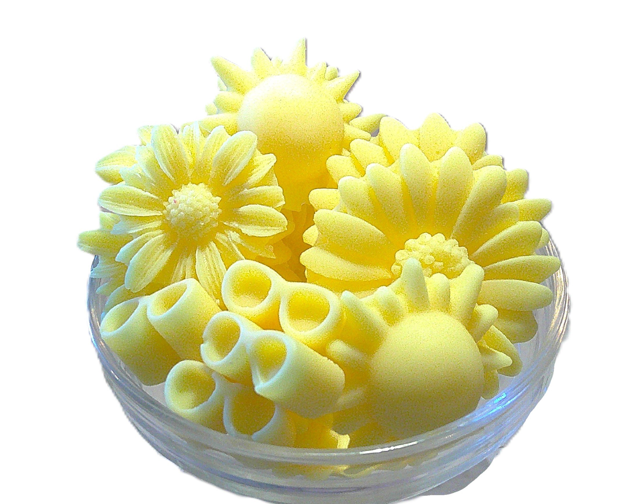 good morning sunshine 3.JPG