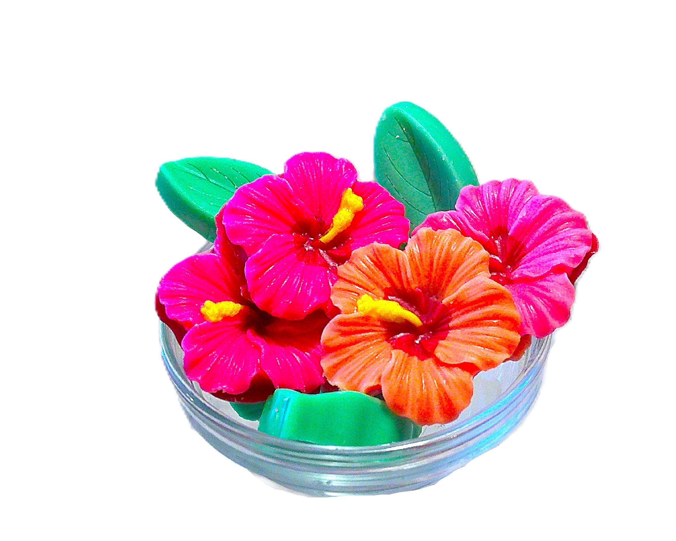 tropical fruit hibiscus 2.JPG