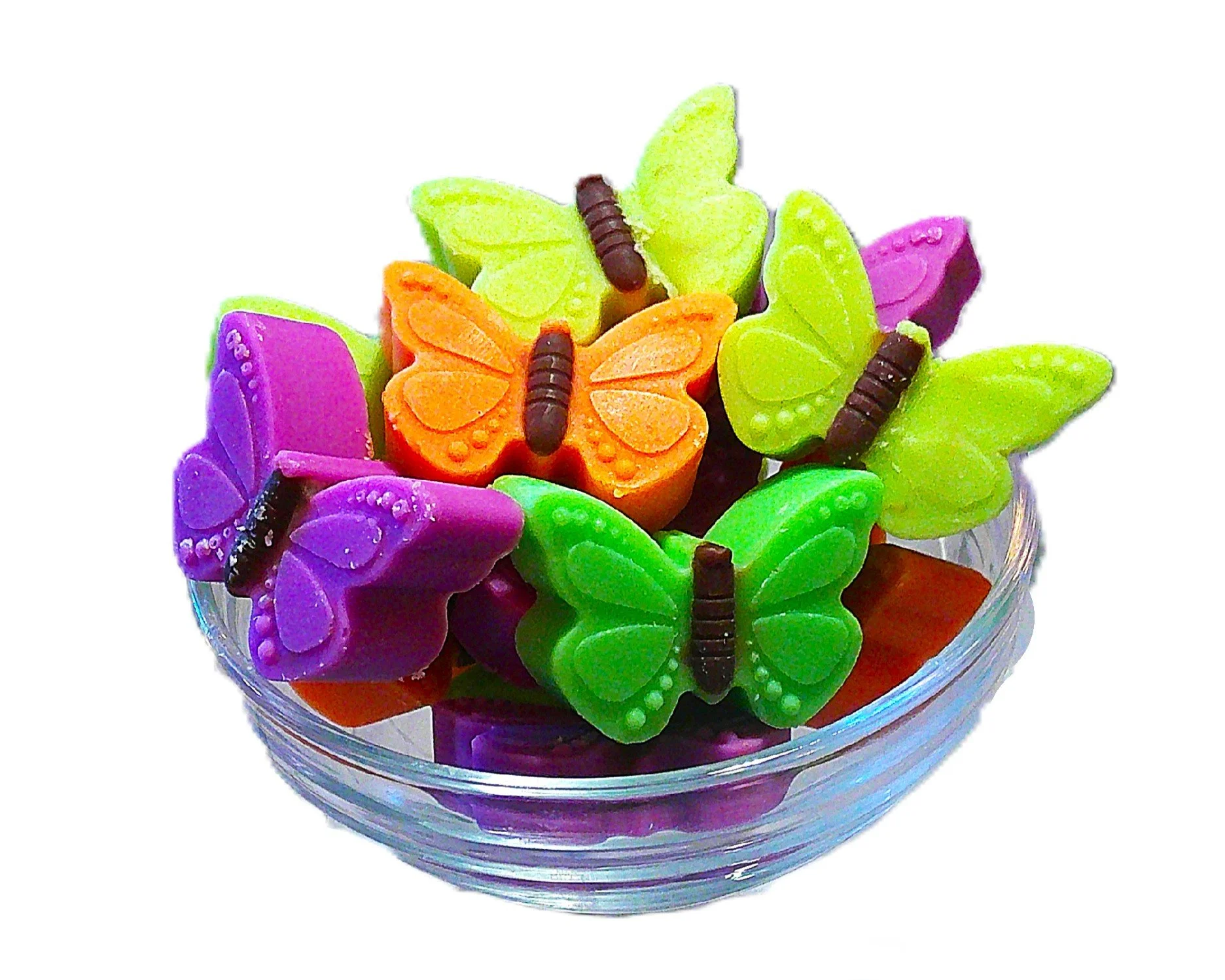 butterfly garden 3.JPG