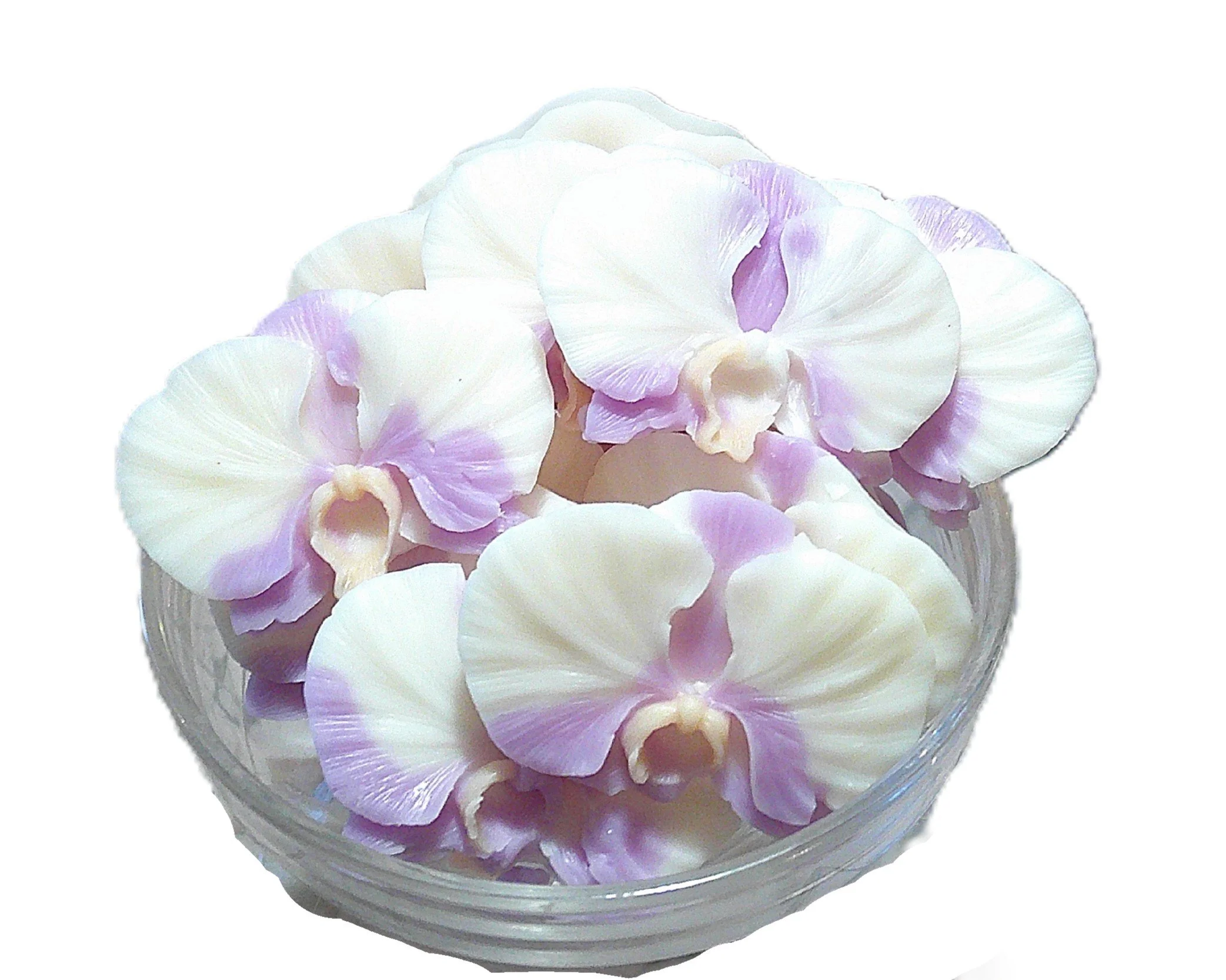 orchid gardenia fantasy 12.JPG