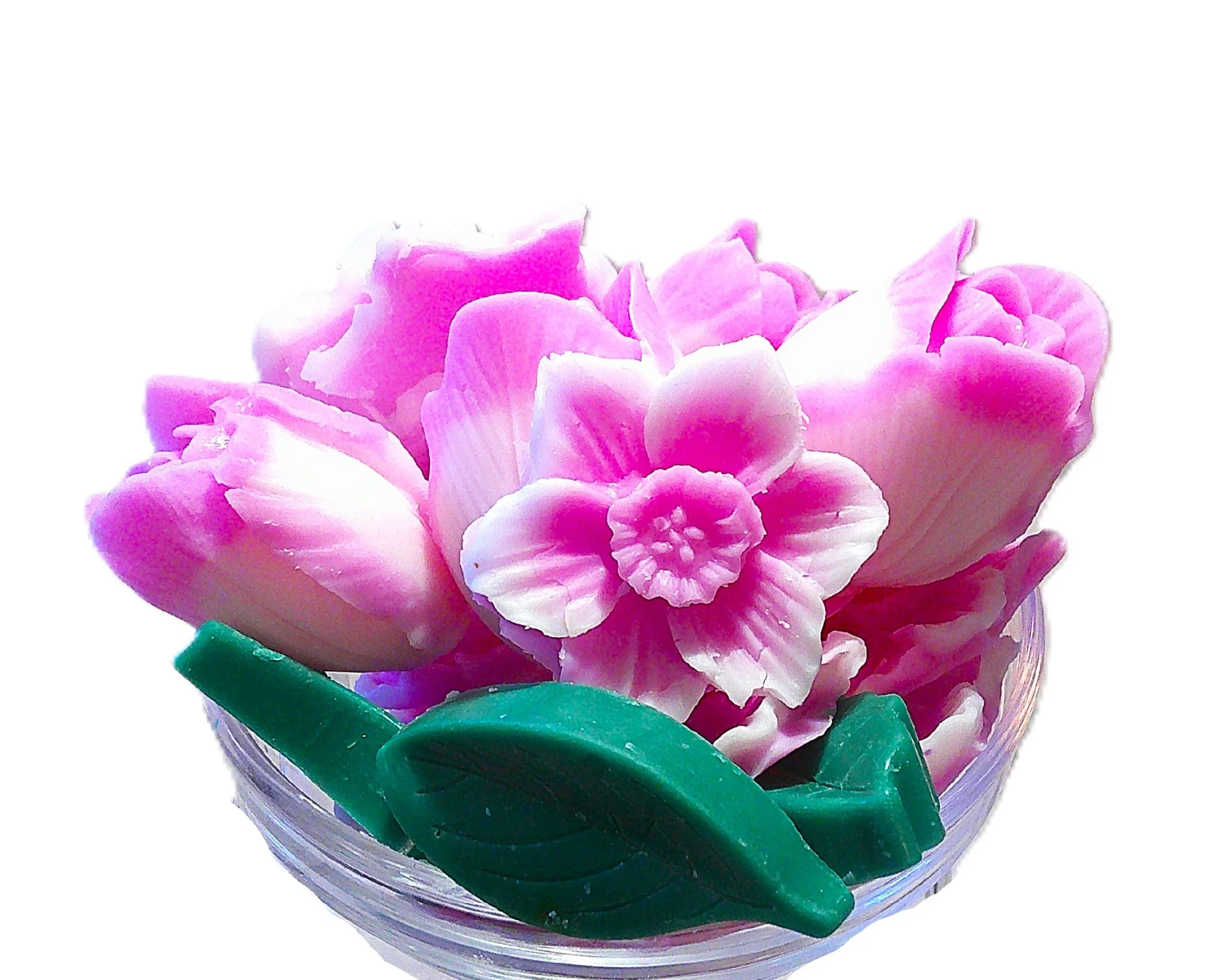 Mississippi Magnolia - NOW EVEN BETTER!!