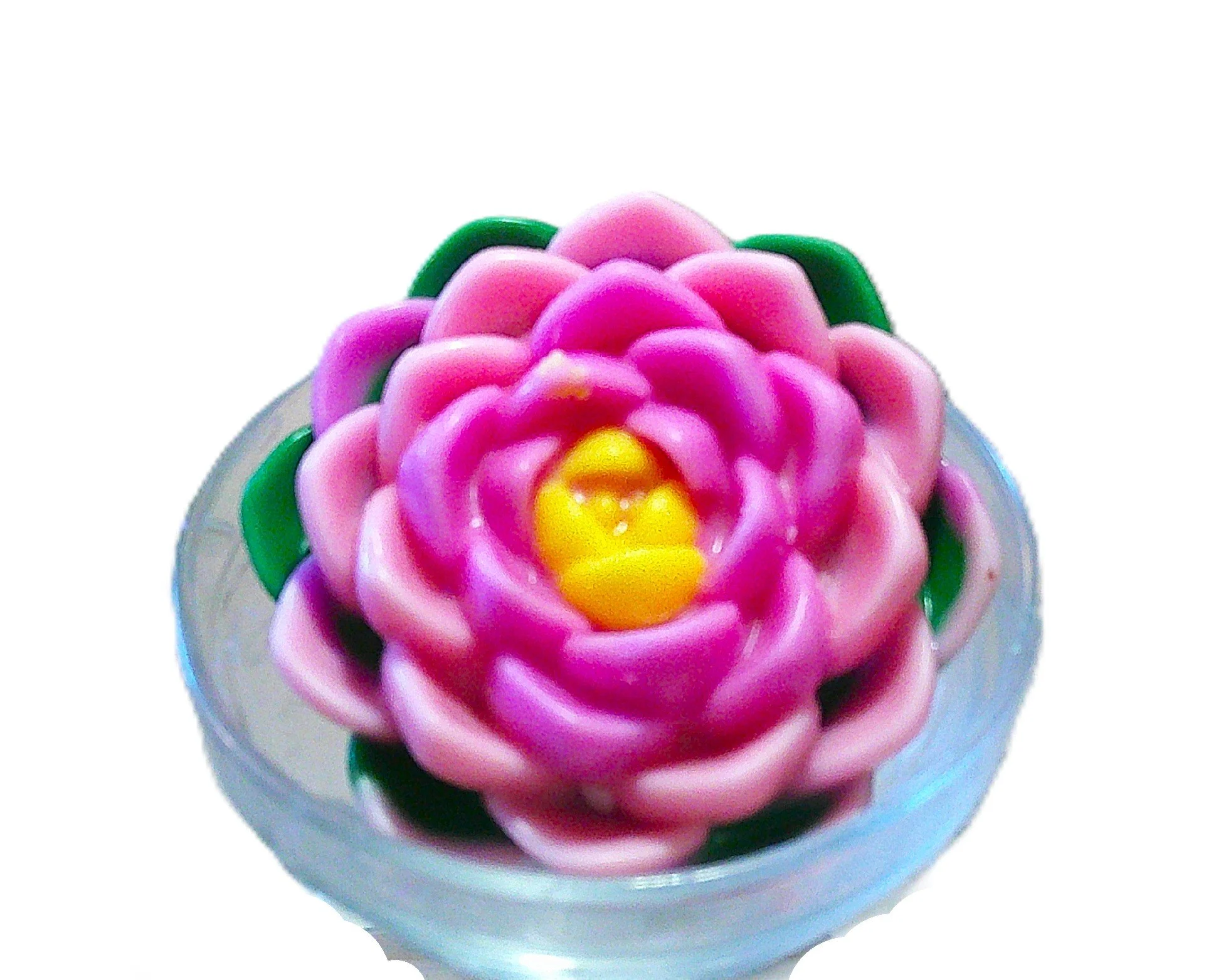 coastal water lilies large 1.JPG