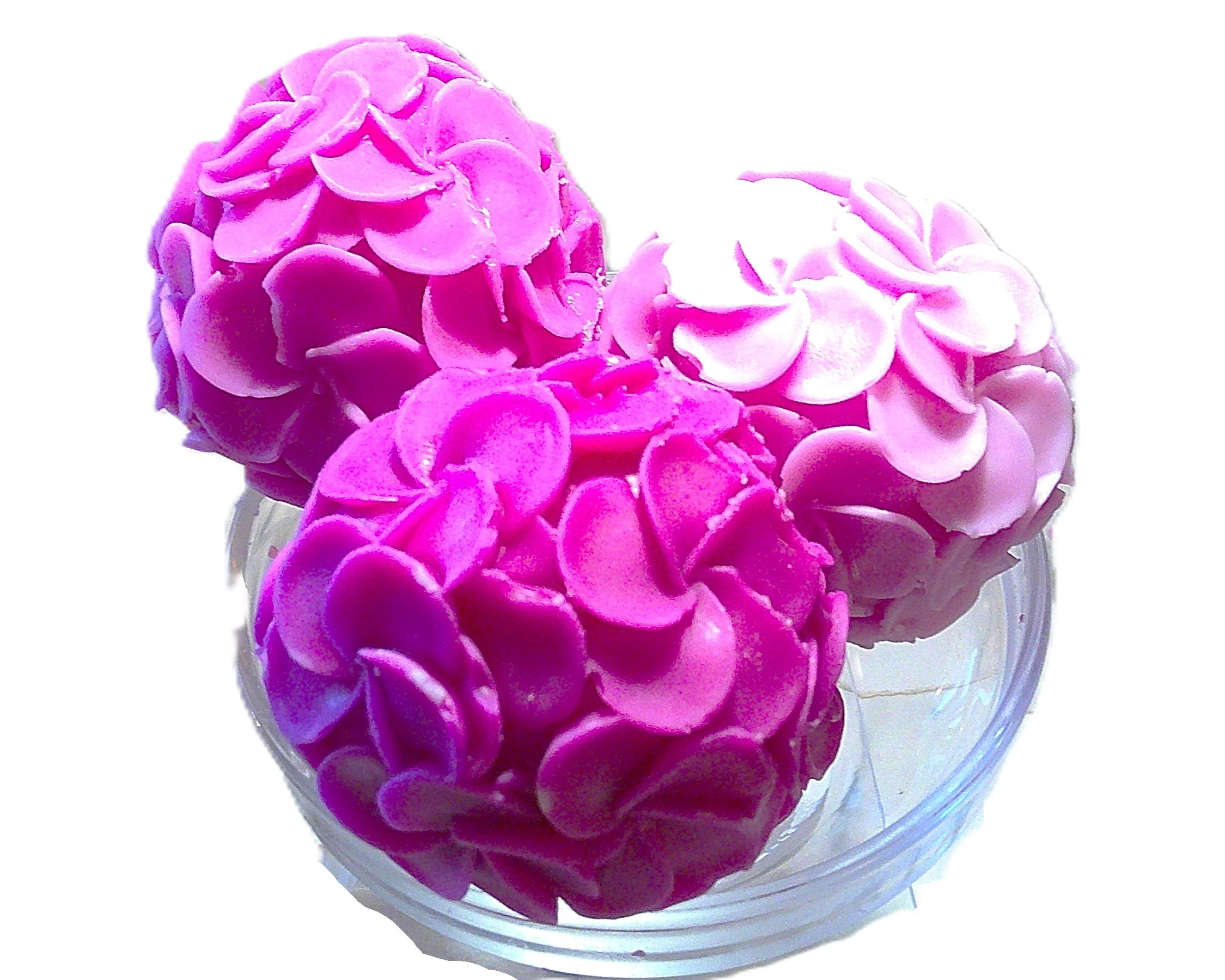 pink peonies please large flowers 6.JPG