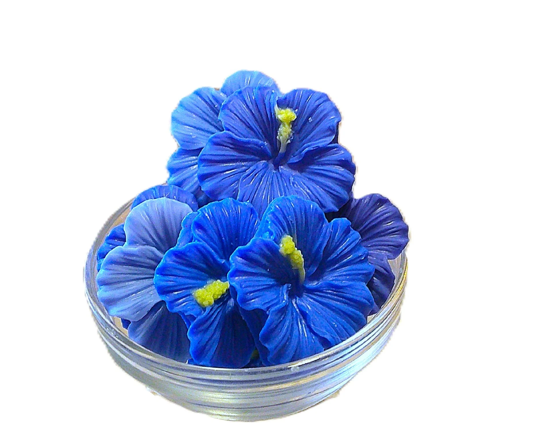 heavenly blue hibiscus 2.JPG