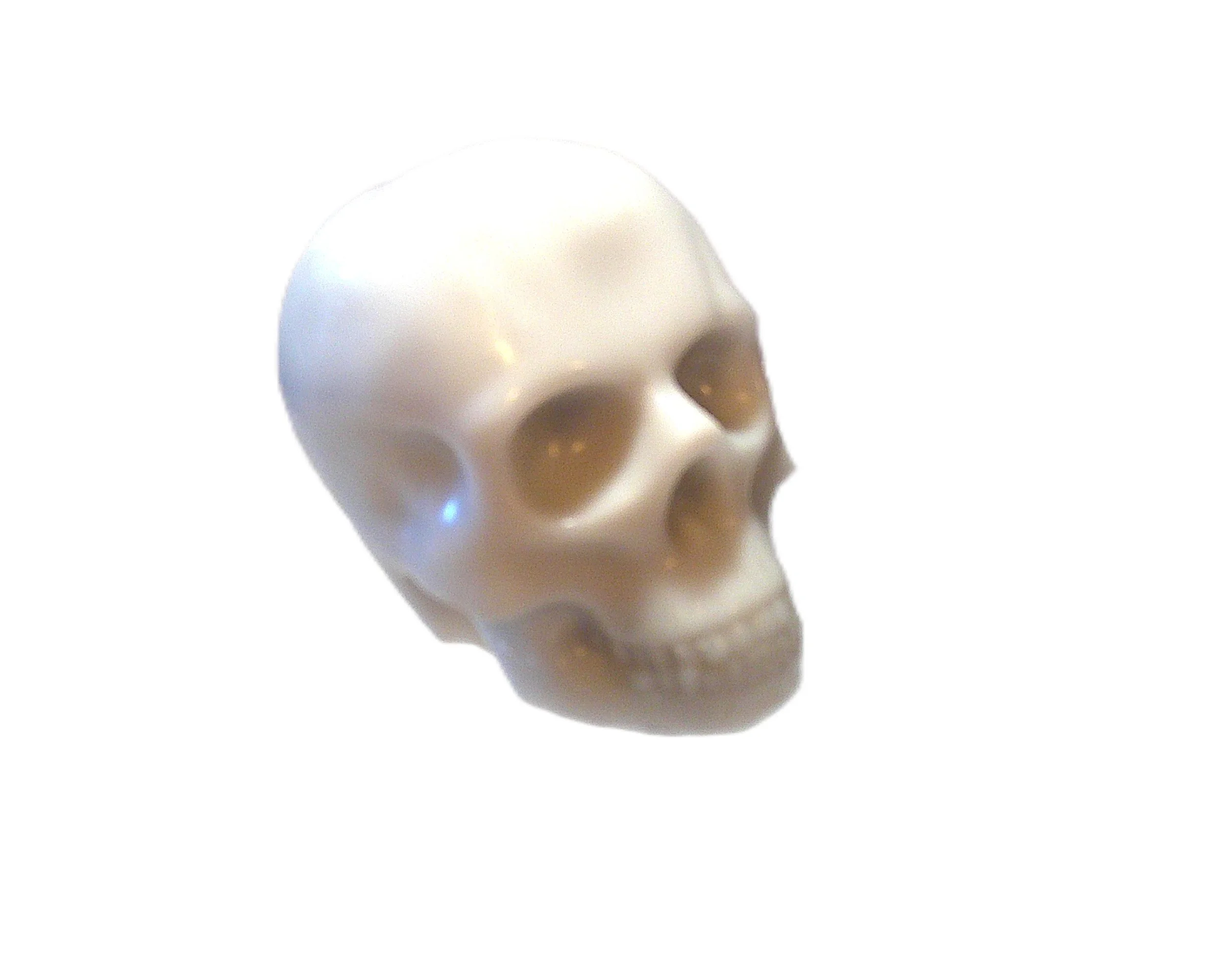 white skull.JPG