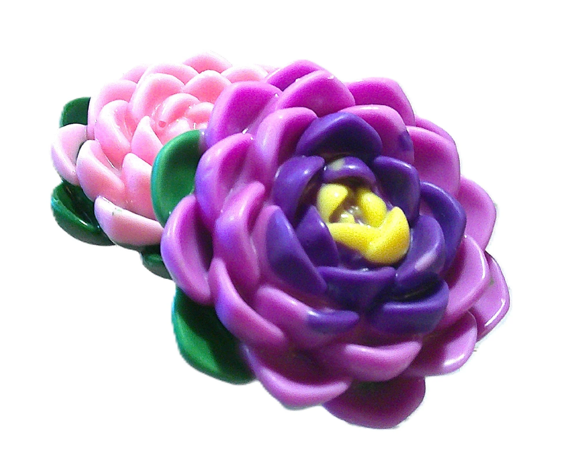 coastal water lilies large 5.JPG