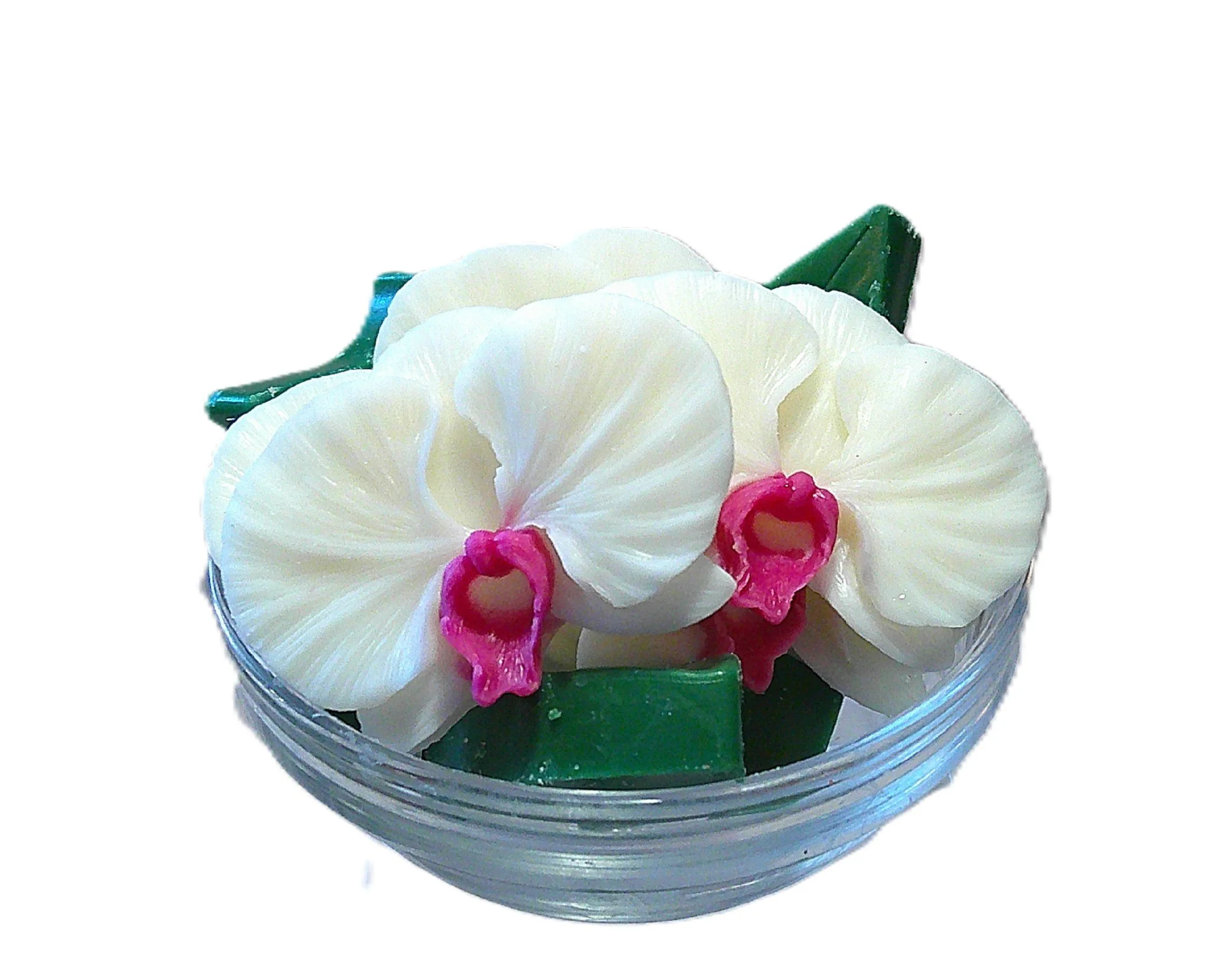 Extraordinary Orchid - NEW!!